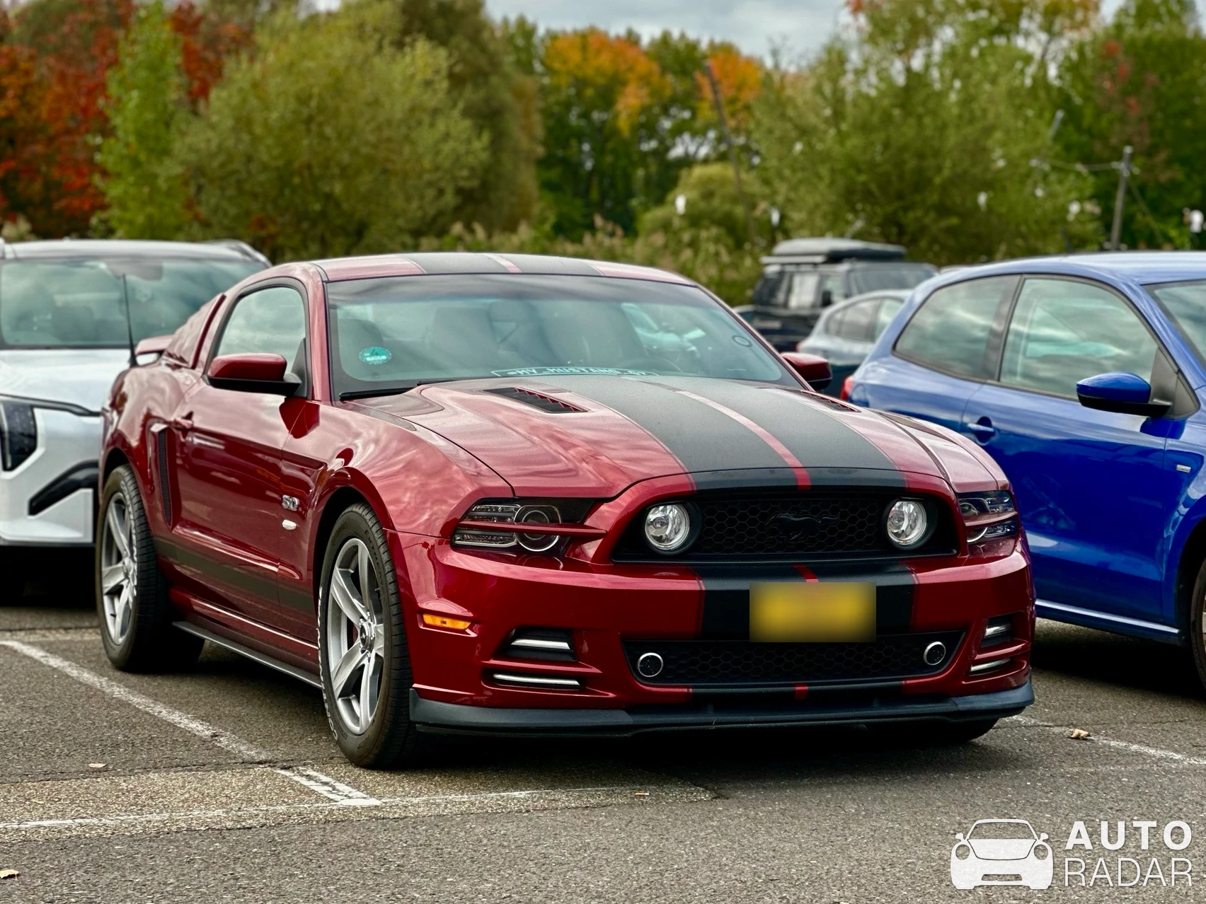 Ford Mustang Boss 302 2013 spotted in Rotterdam