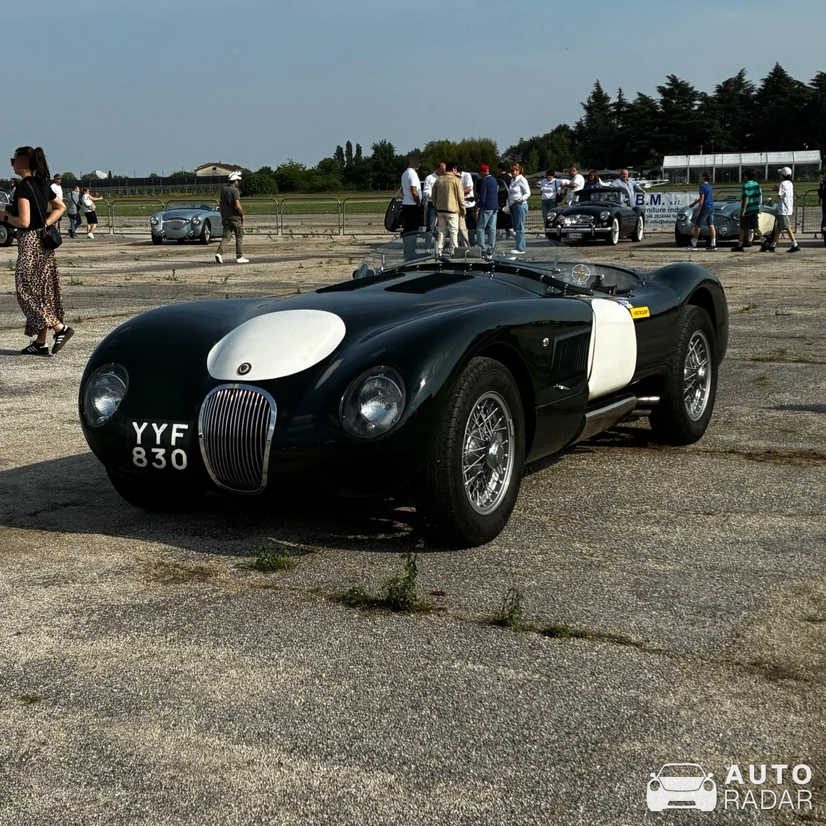 Jaguar C-Type spotted