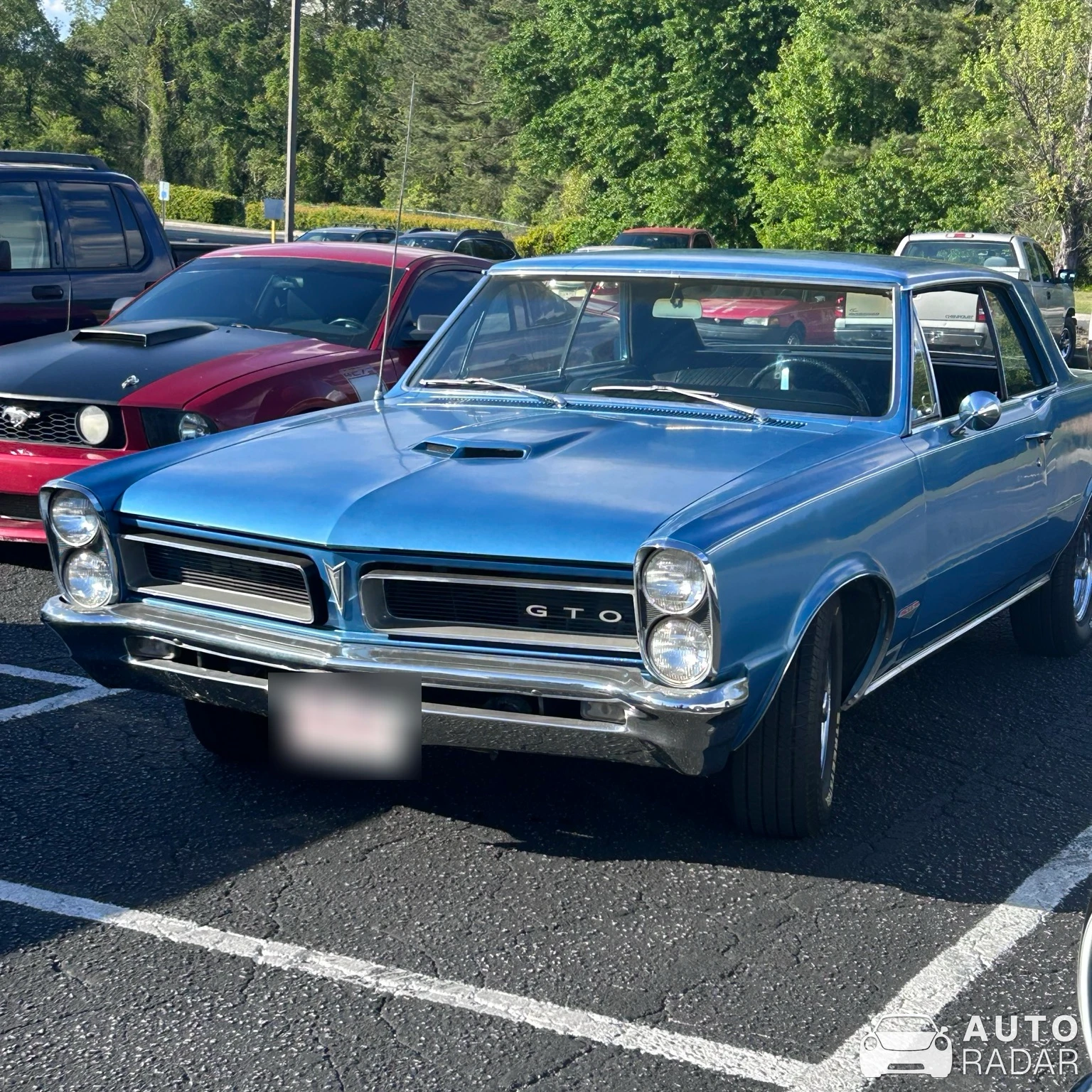 Pontiac GTO spotted in Chapin