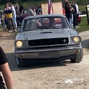 Ford Mustang Coupé 1966 spotted in Lukovo Šugarje