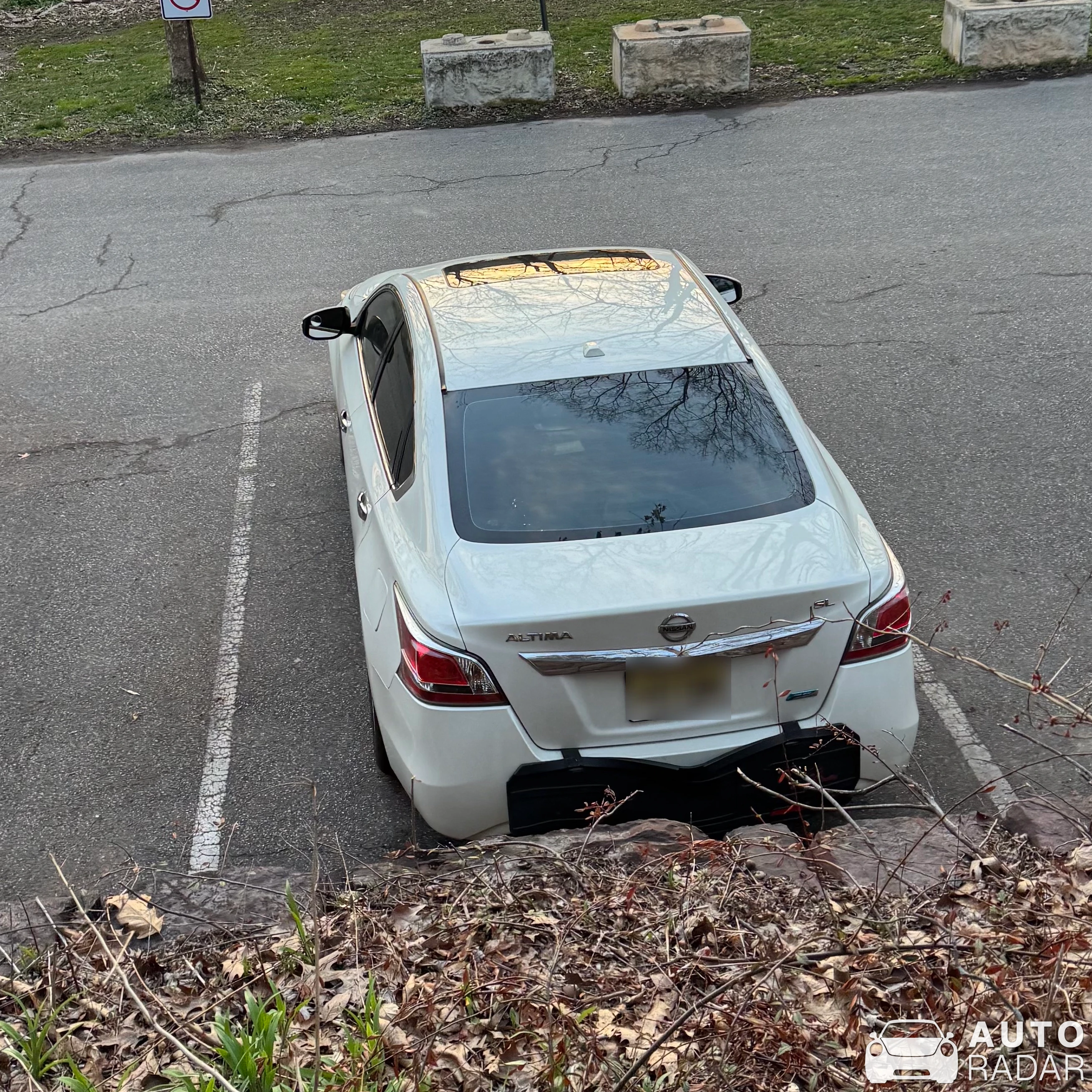 Nissan Altima spotted in Frenchtown