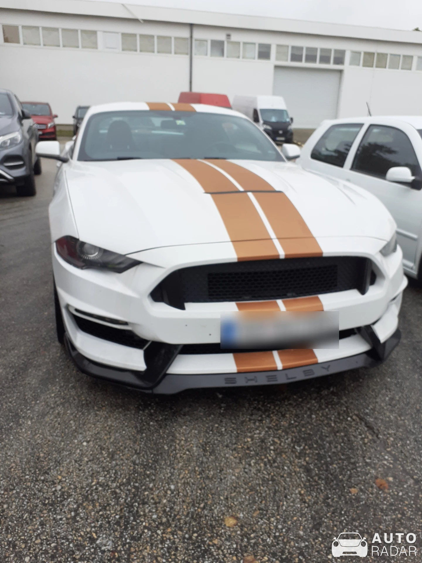 Ford Mustang GT spotted in Nitra, Slovensko