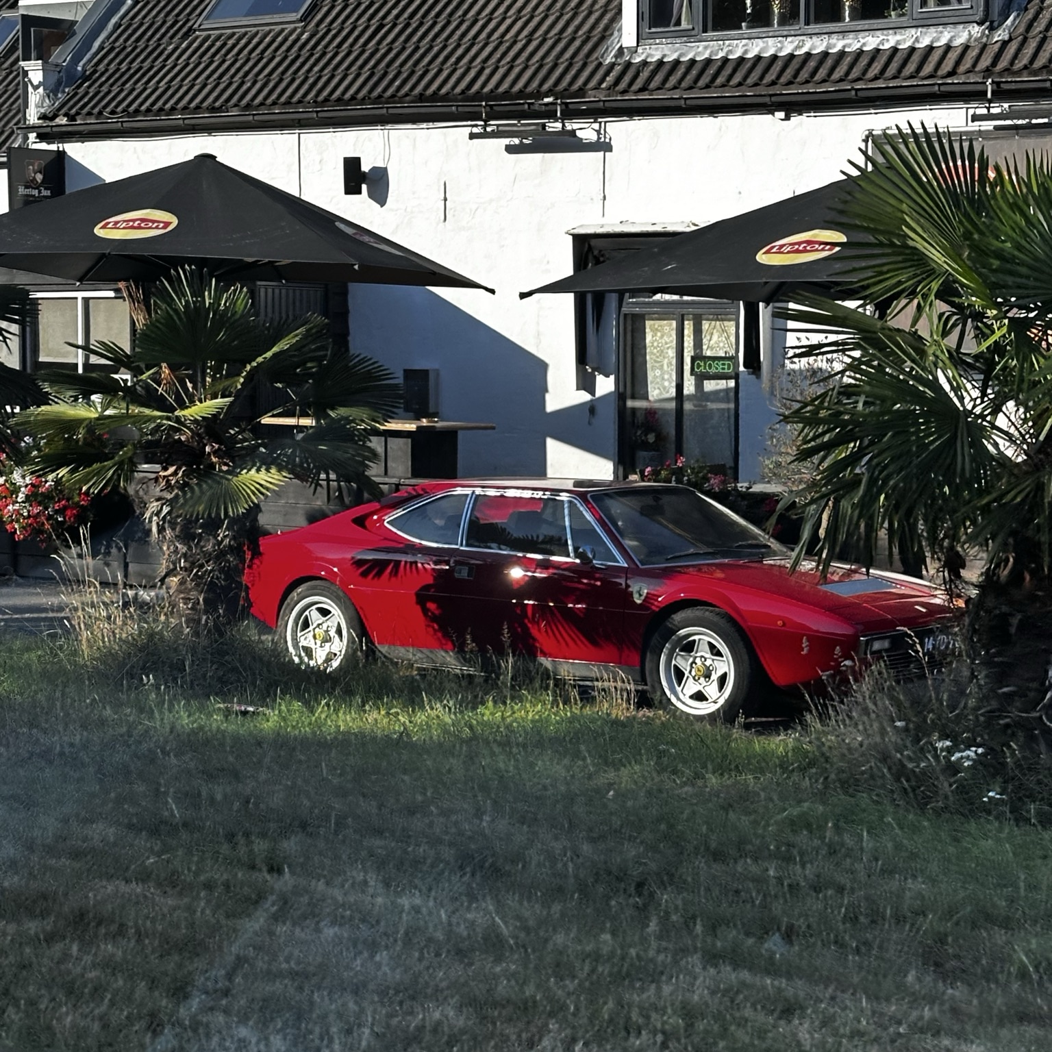 Ferrari Dino 208 GT4