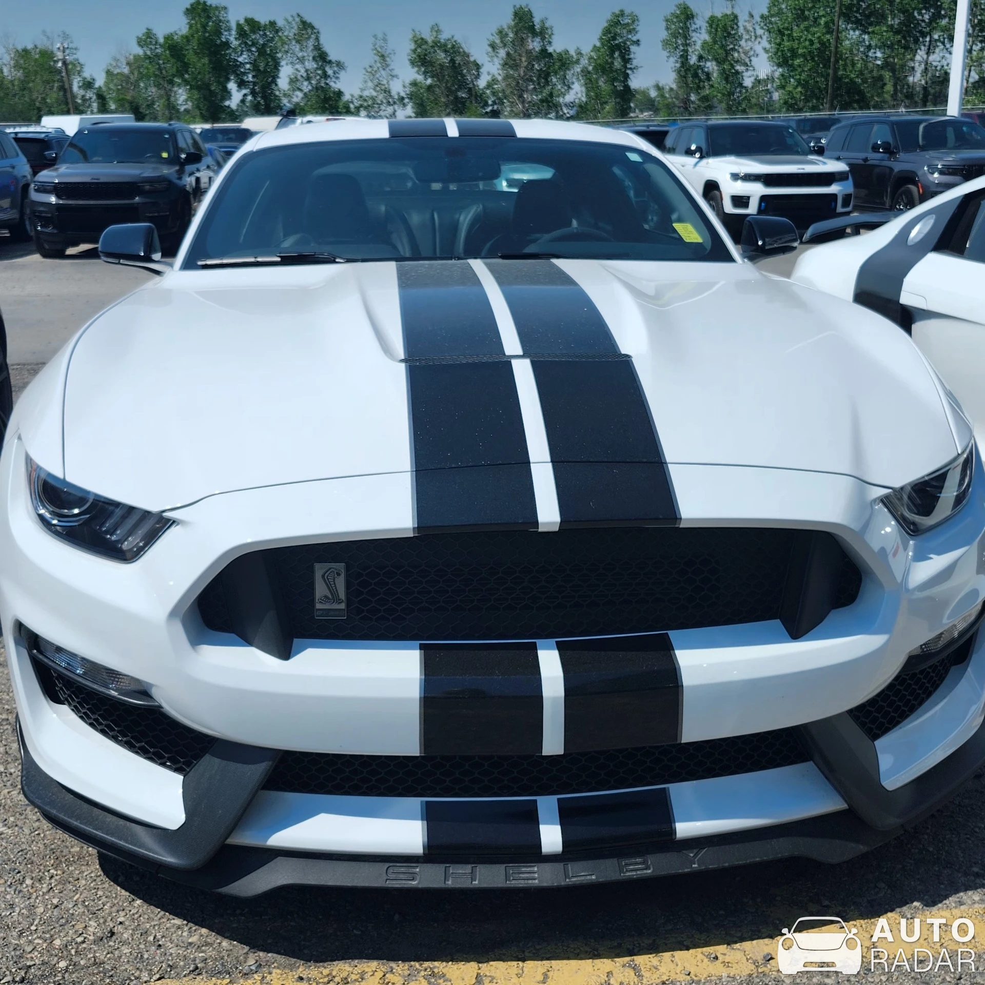 Ford Mustang Shelby GT350 spotted in Calgary, Canada