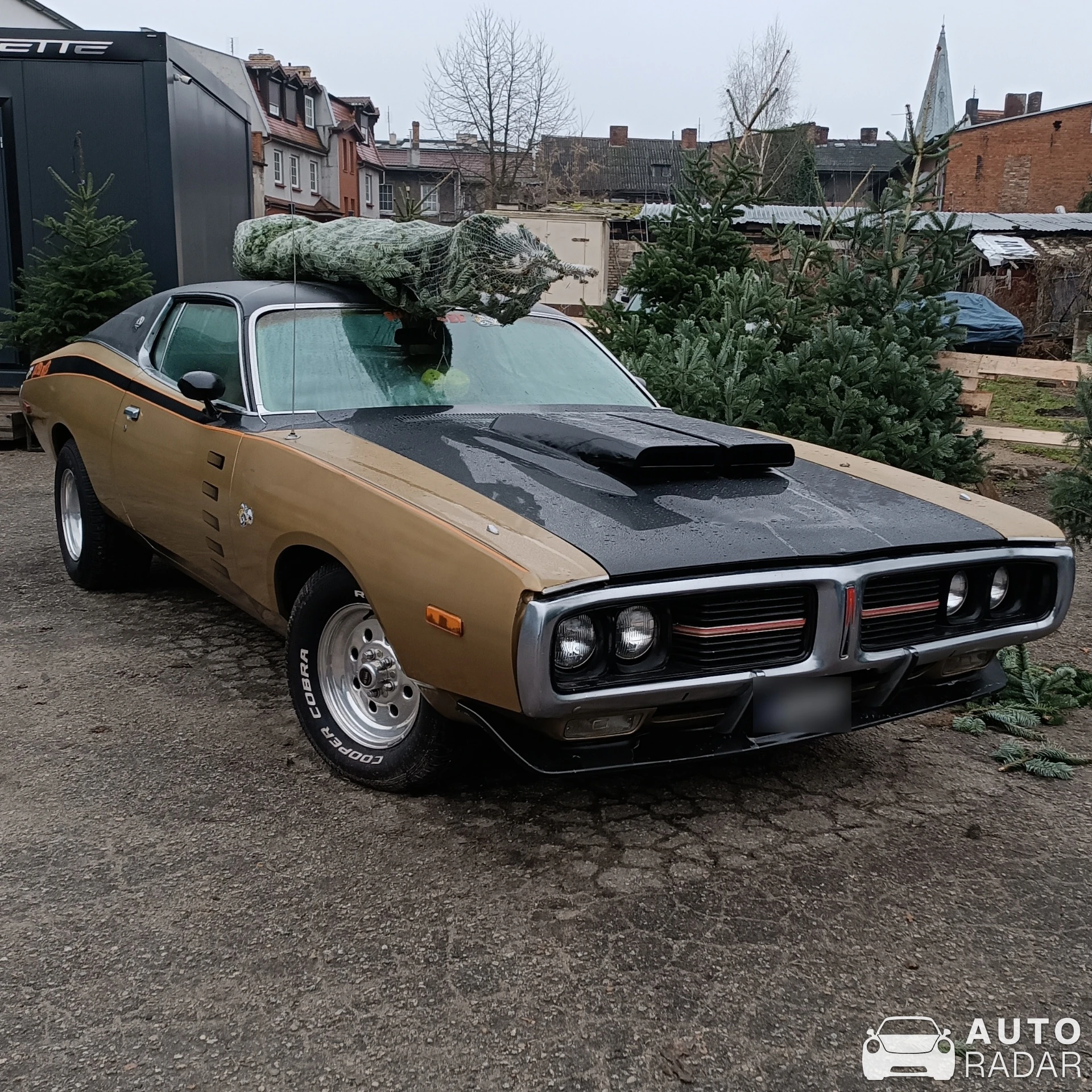 Dodge Charger SE 1973 spotted in Czarnków