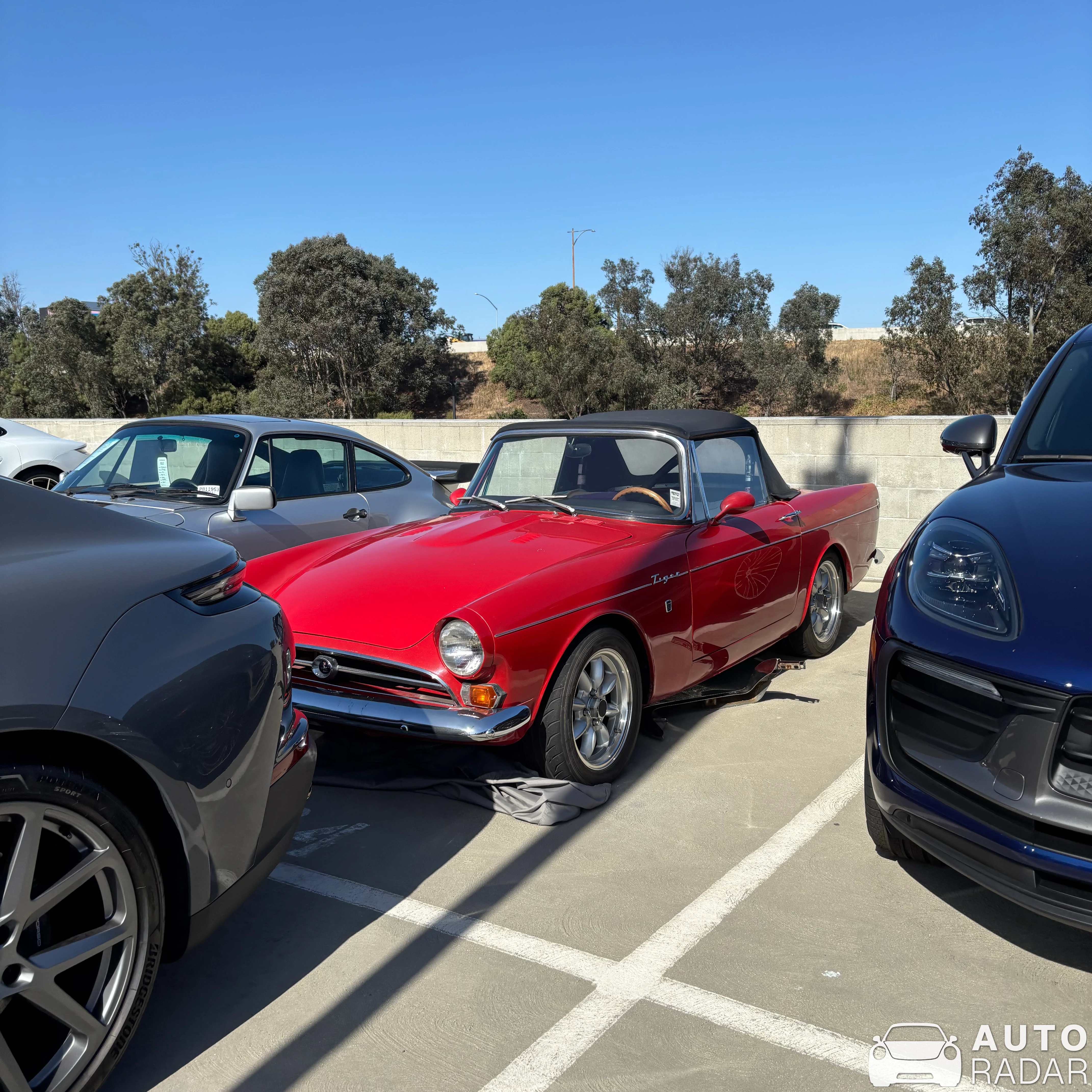 Sunbeam Tiger spotted in Hawthorne