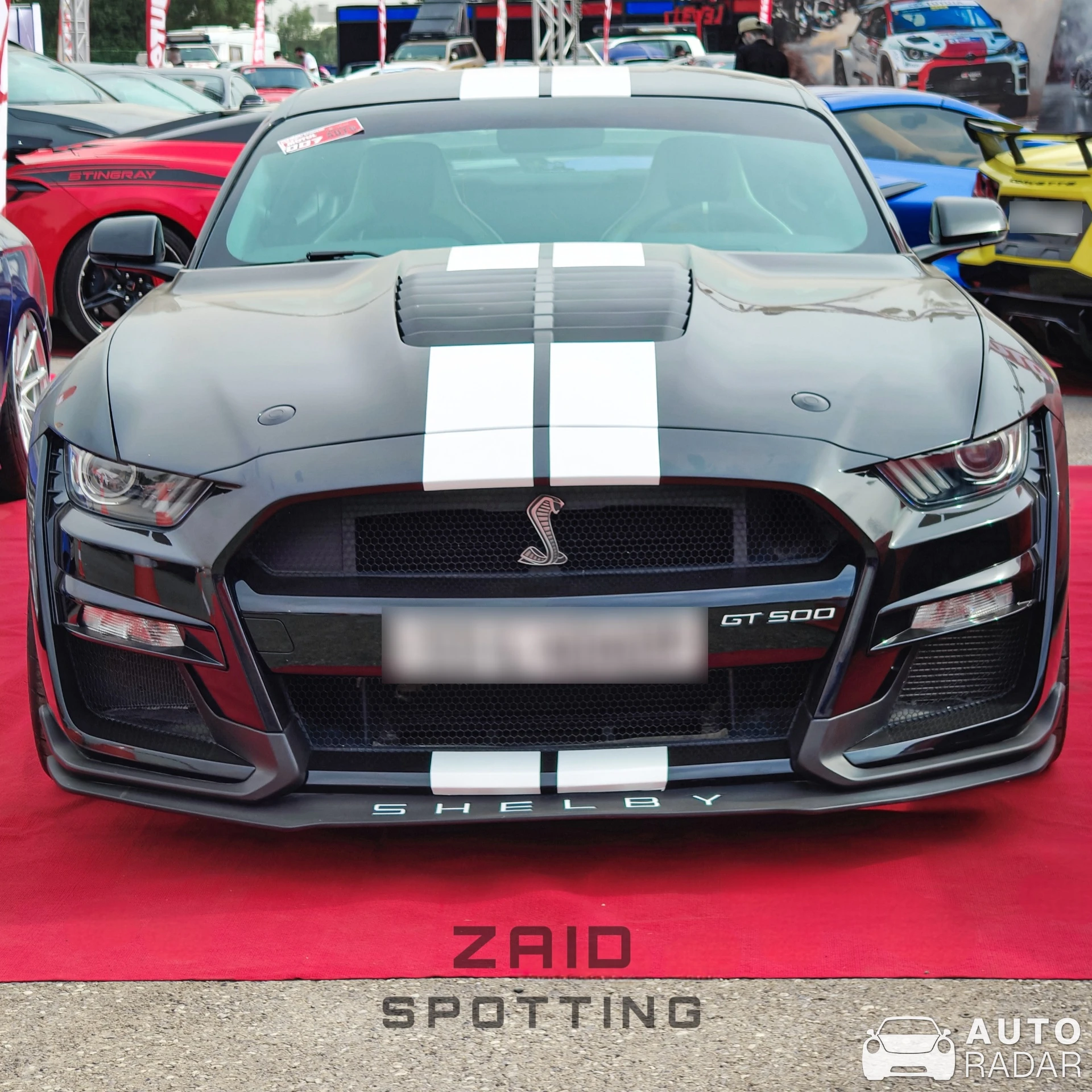 Ford Mustang Shelby GT500 spotted in Baghdad