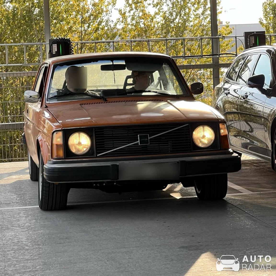 Volvo 244 DL spotted