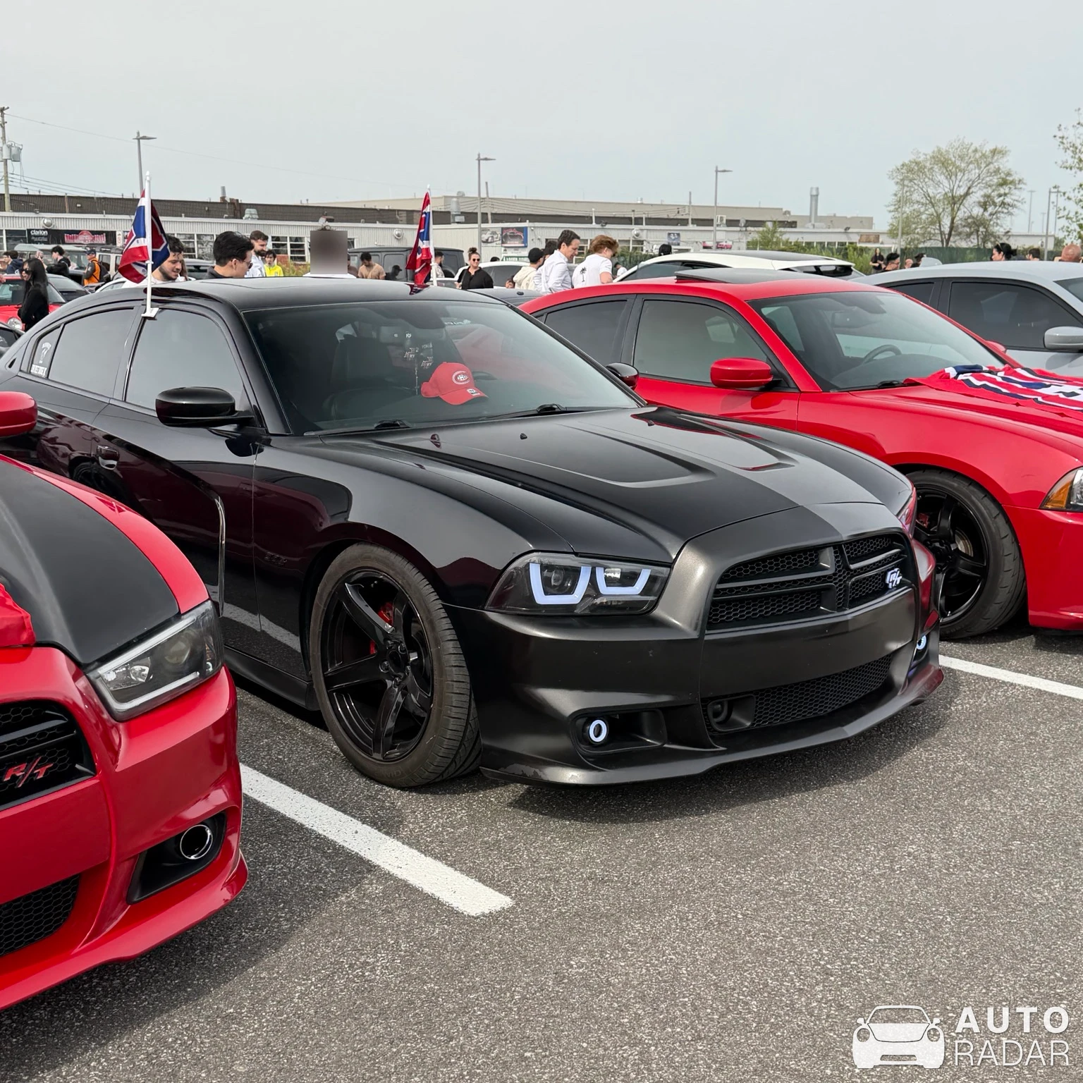 Dodge Charger SRT-8 spotted in Mont-Royal