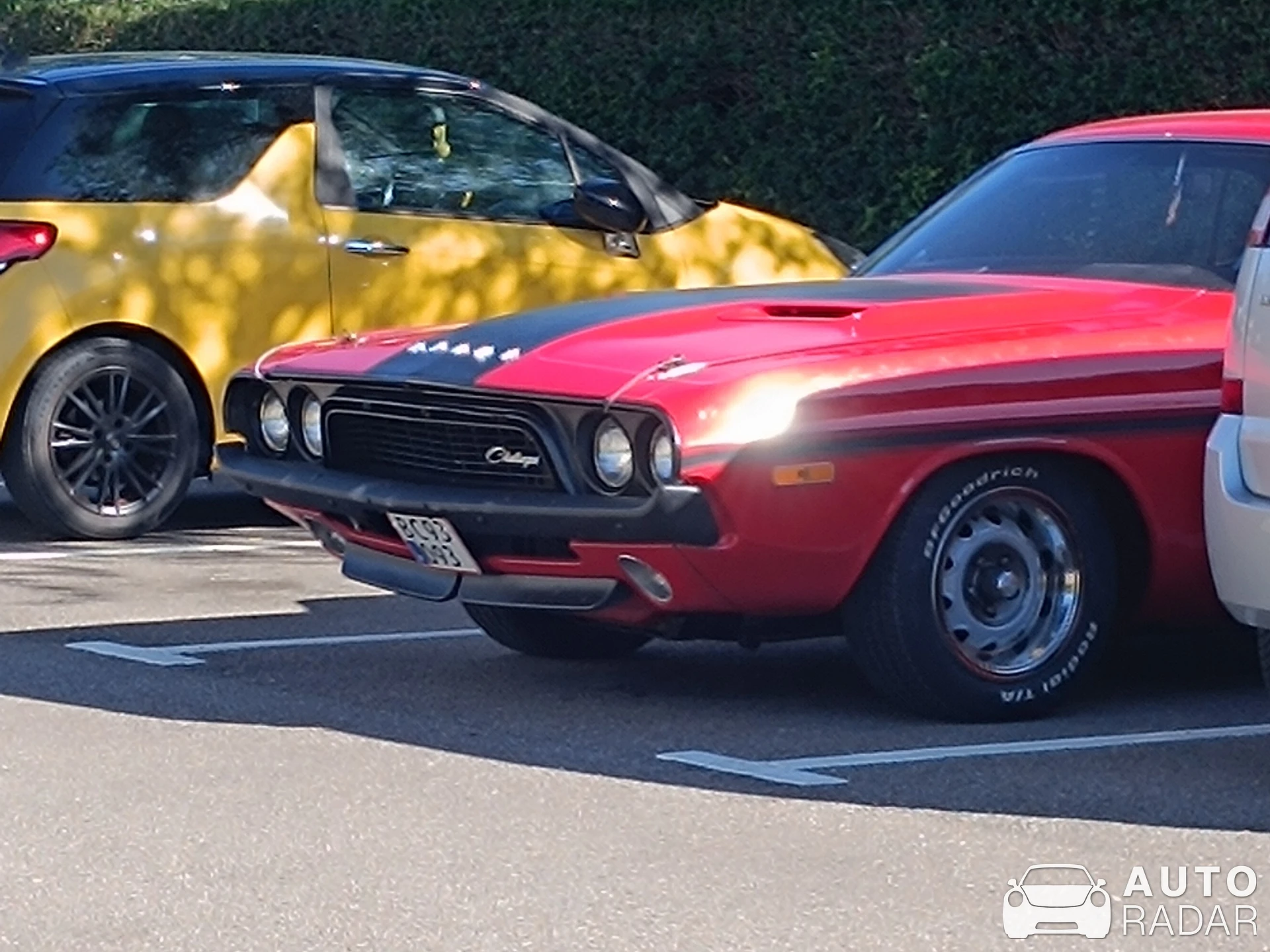 Dodge Challenger spotted in Køge, Denmark