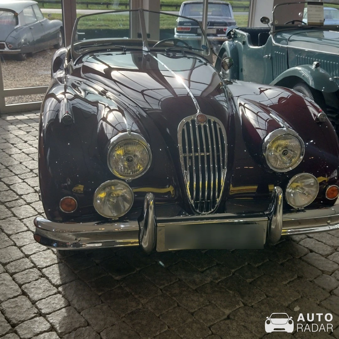 Jaguar XK140 spotted in Brummen, Netherlands