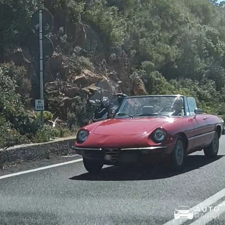 Alfa Romeo Spider Series 2 Coda Tronca spotted in Livorno