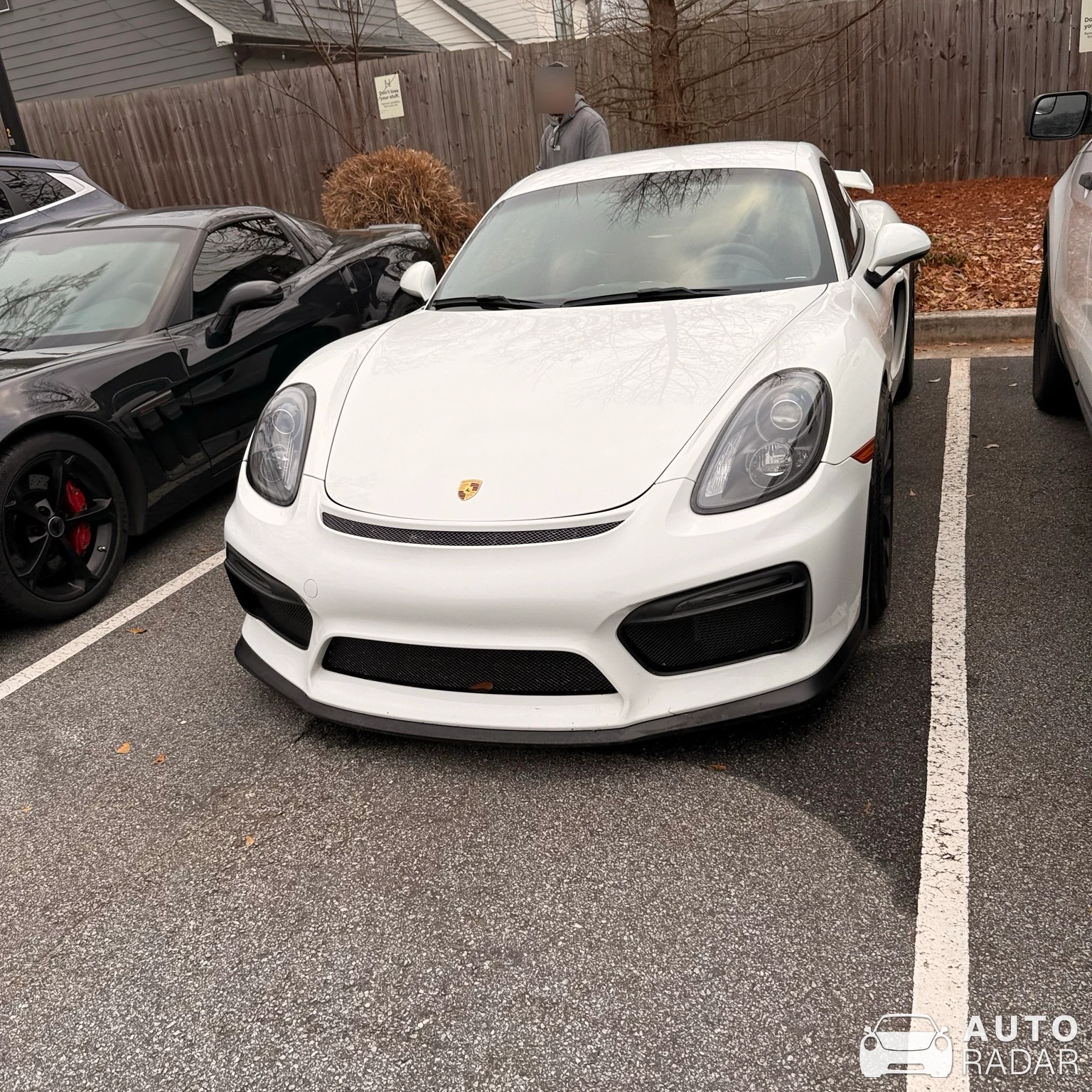 Porsche 981 Cayman GT4 spotted in Atlanta, United States
