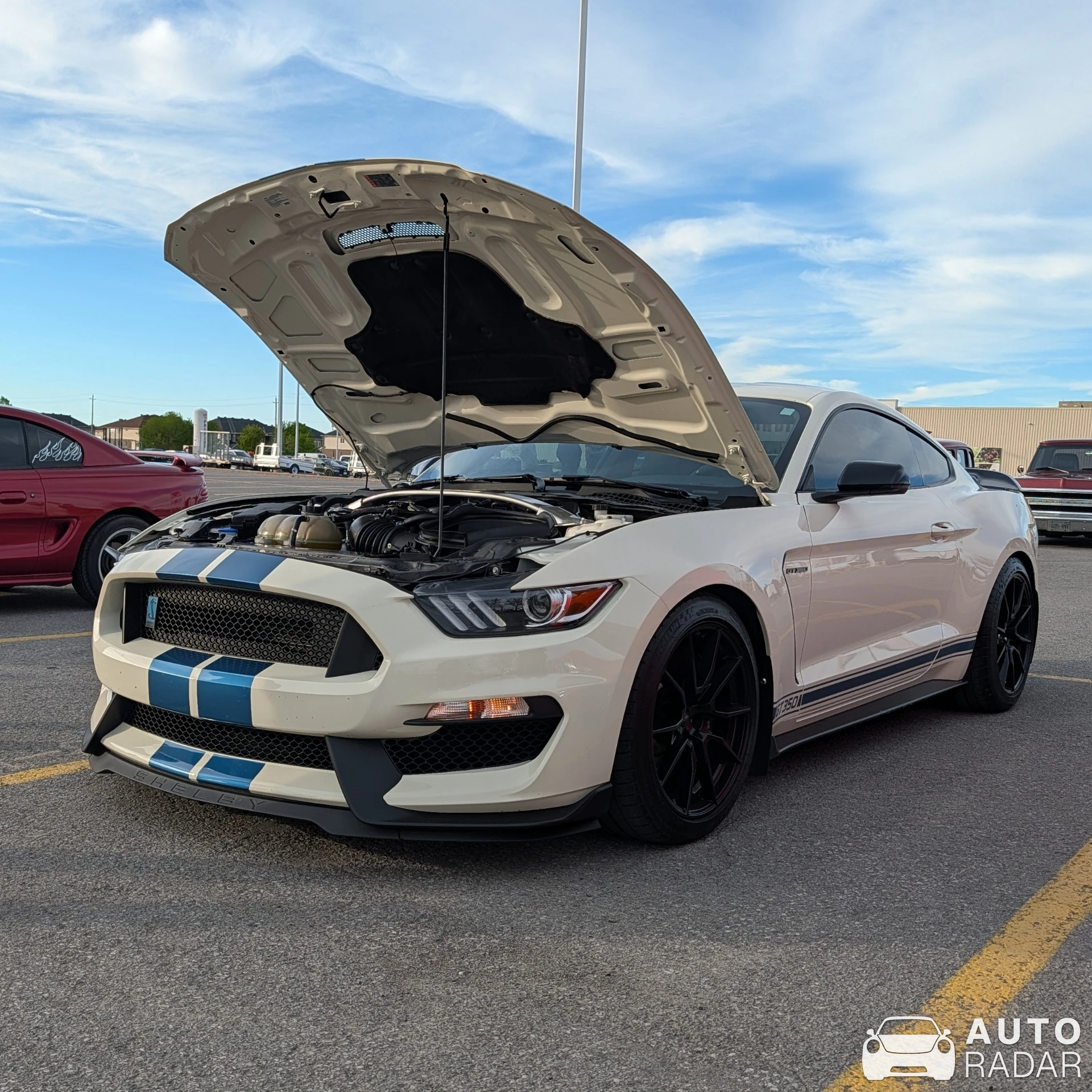 Ford Mustang Shelby GT350 Heritage Edition 2020 spotted in Carleton Place