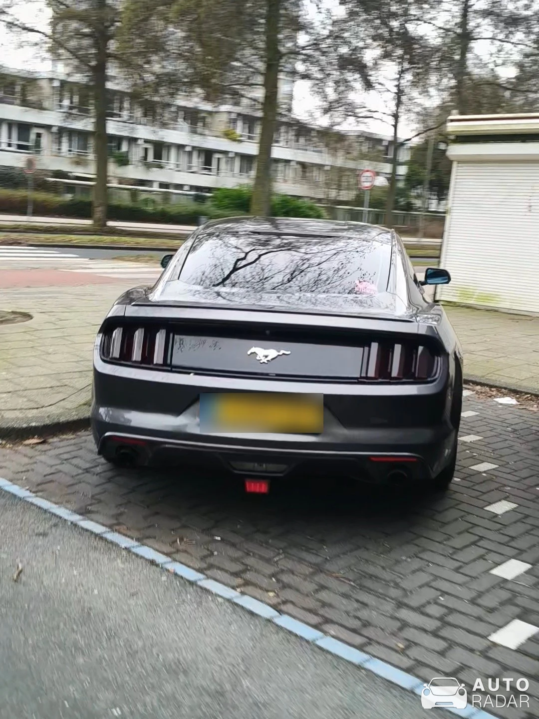 Ford Mustang 2.3 Ecoboost spotted in Amsterdam, Netherlands