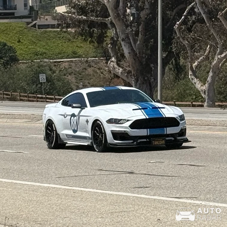 Ford Mustang Shelby Super Snake 2020 spotted in Malibu