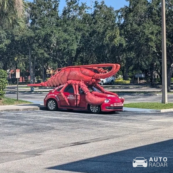 Volkswagen Beetle spotted in Orlando, United States
