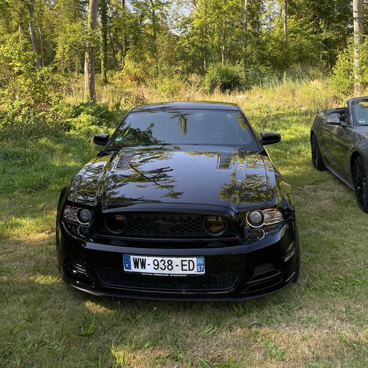 Ford Mustang Shelby GT500 Convertible 2014