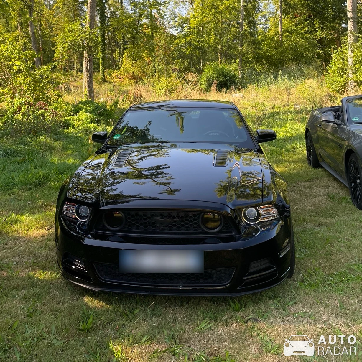 Ford Mustang Shelby GT500 Convertible 2014 spotted in Burthecourt-aux-Chênes