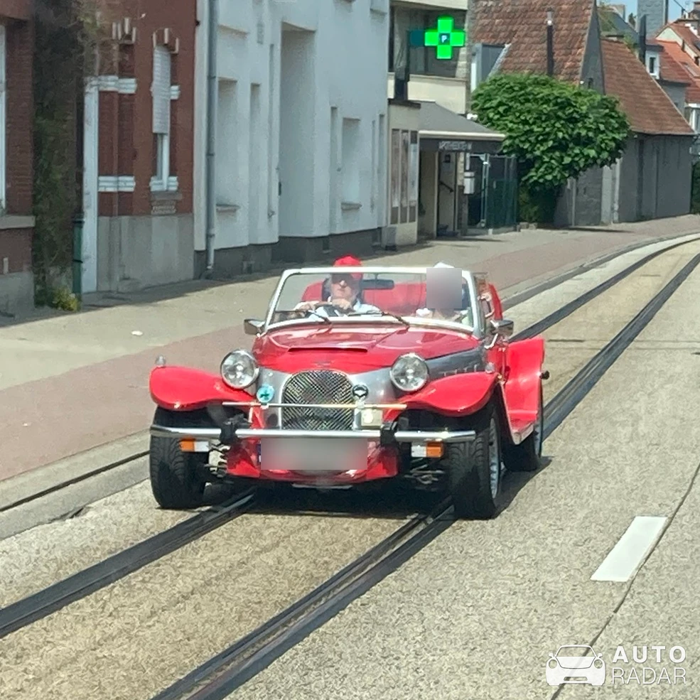 Panther Kallista spotted in Gent
