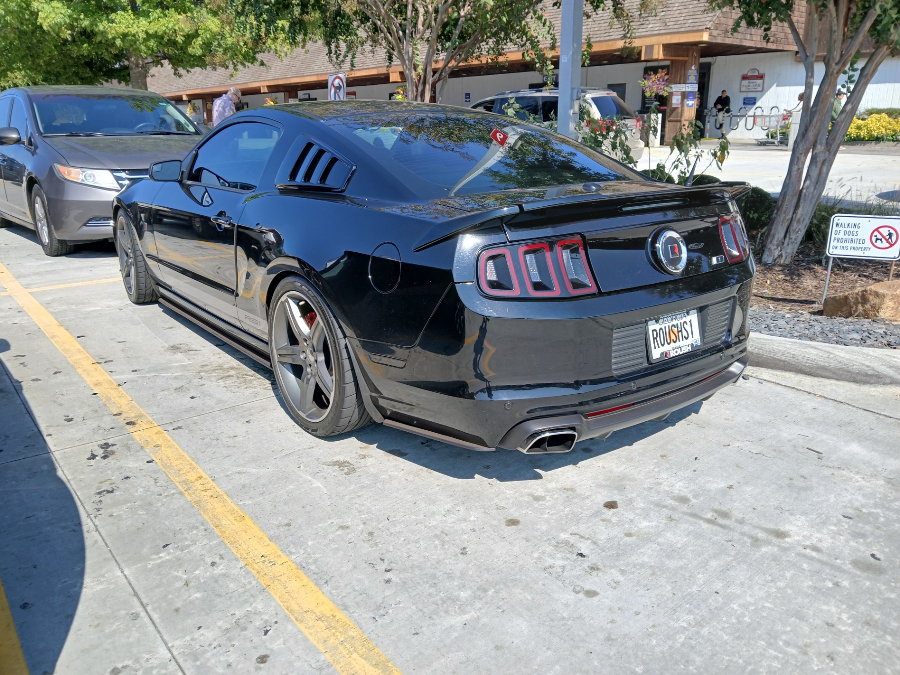 Ford Mustang Roush Stage 1