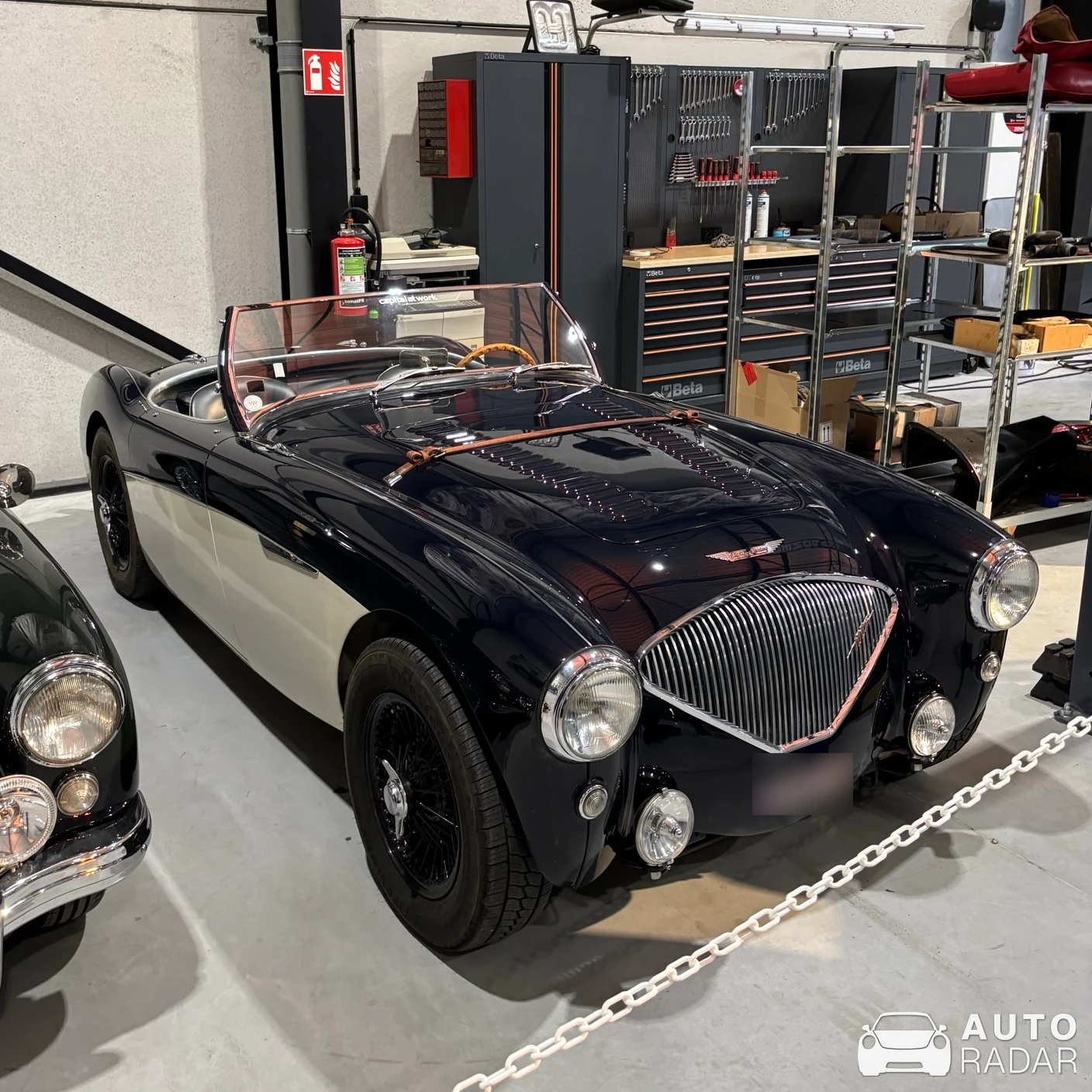 Austin-Healey 100 BN2 spotted in Ternat
