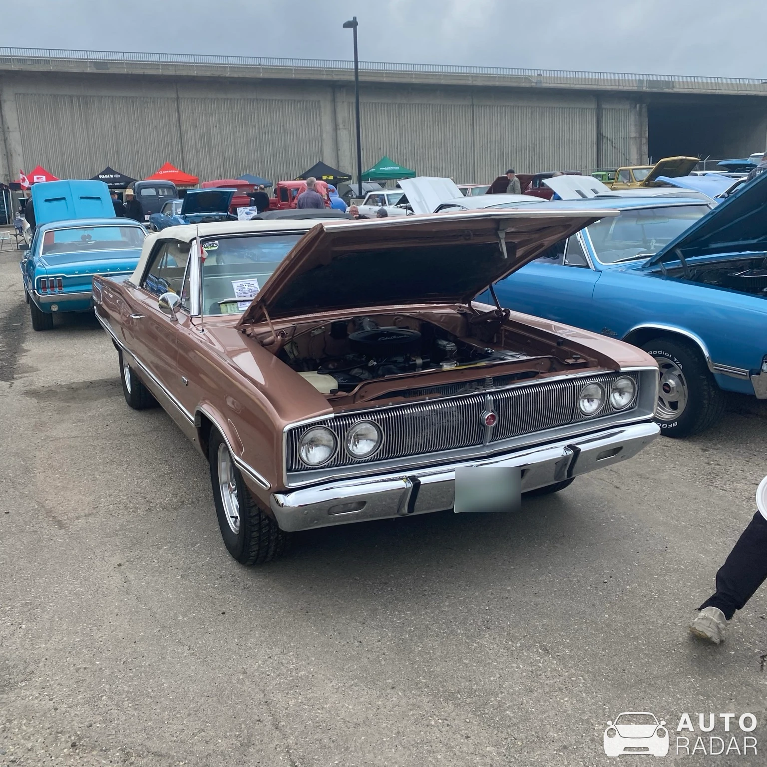 Dodge Coronet 500 Convertible spotted in Calgary