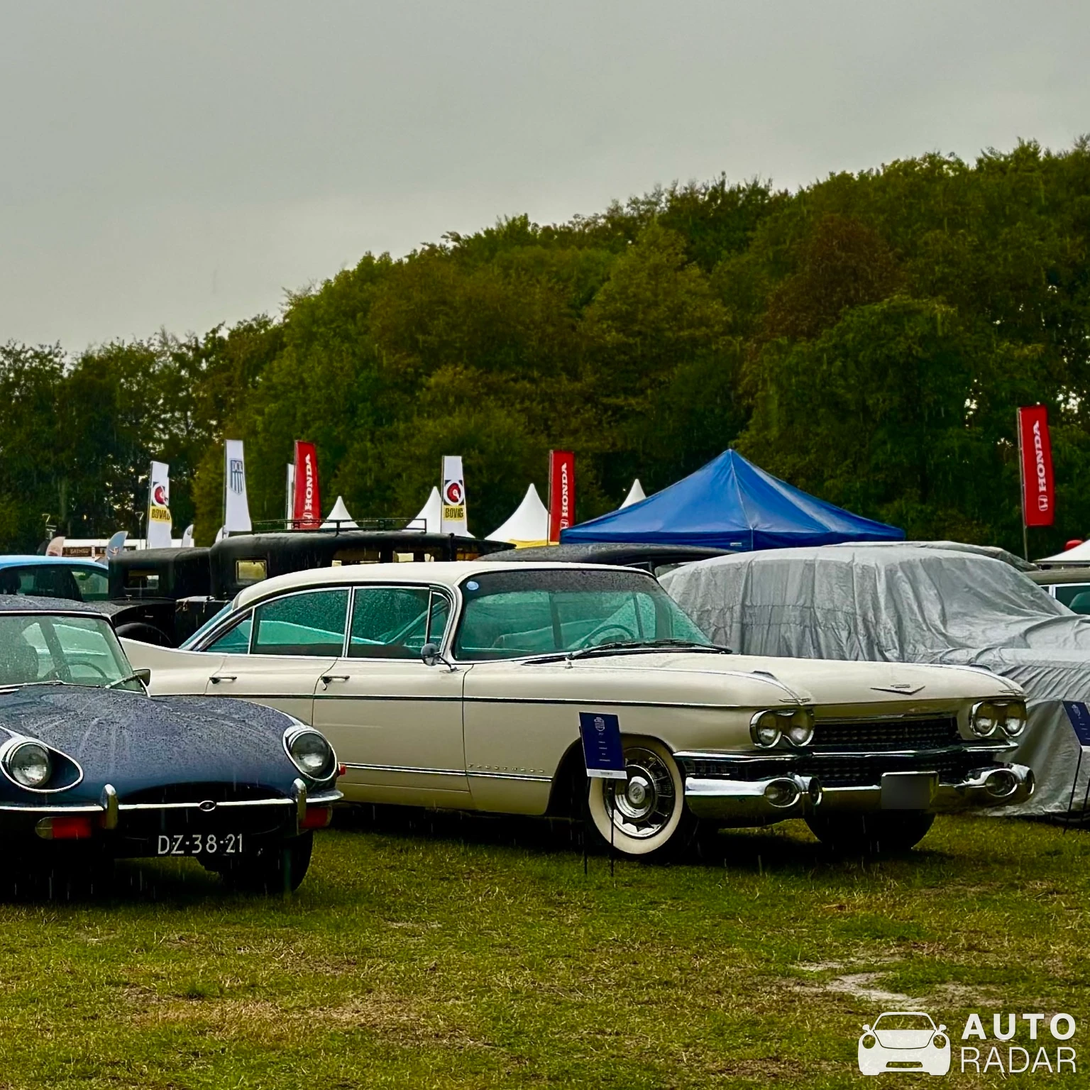 Cadillac Fleetwood Series 60 Special spotted in Beesd