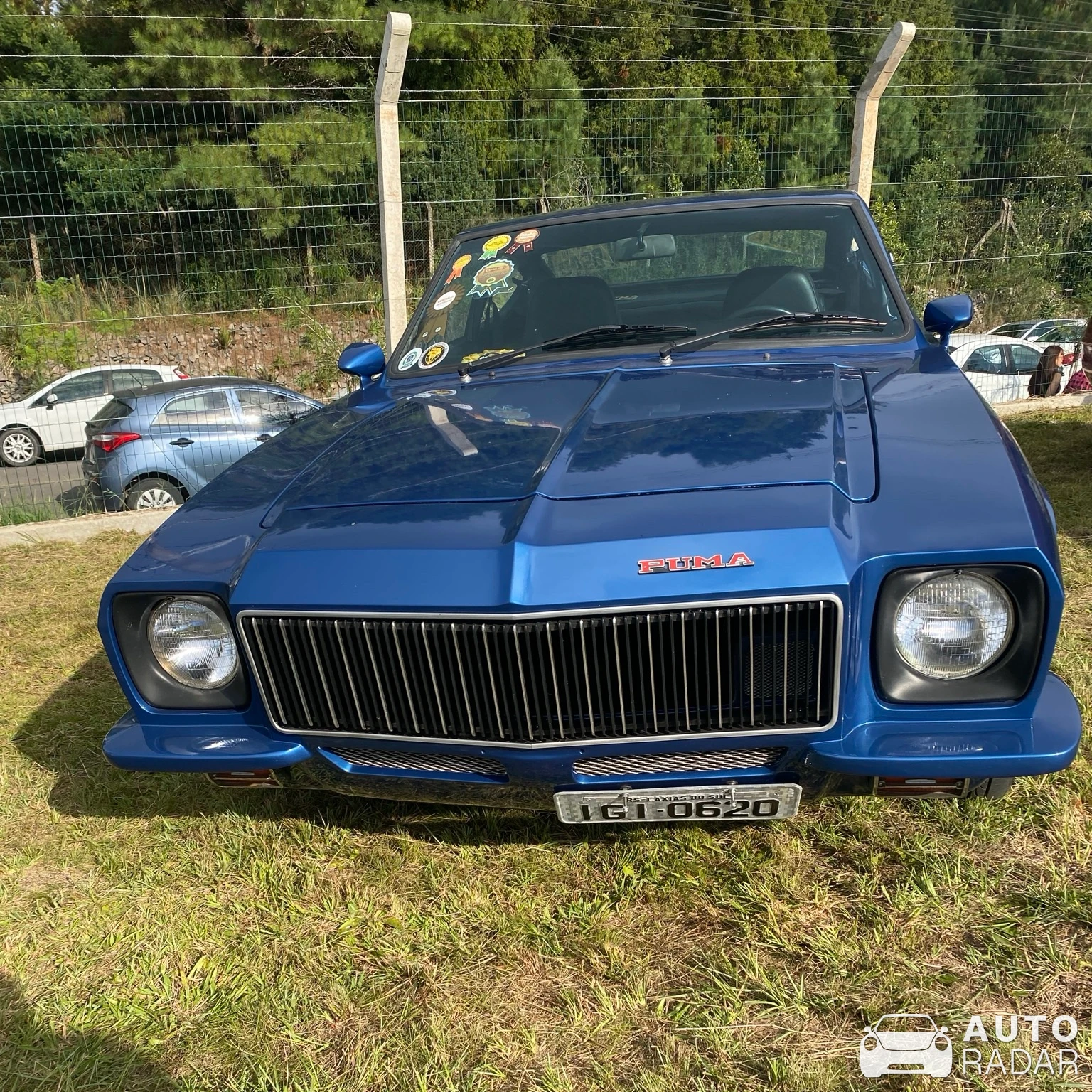 Puma GTB spotted