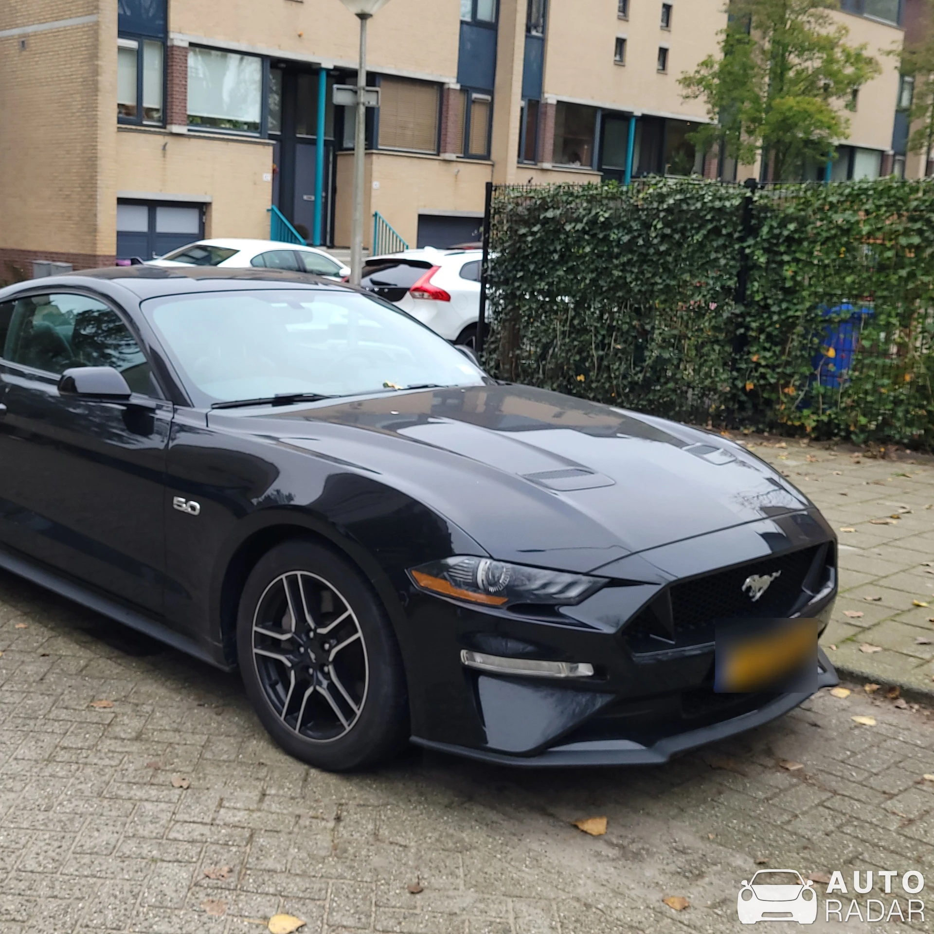 Ford Mustang GT spotted in Cape Town, South Africa