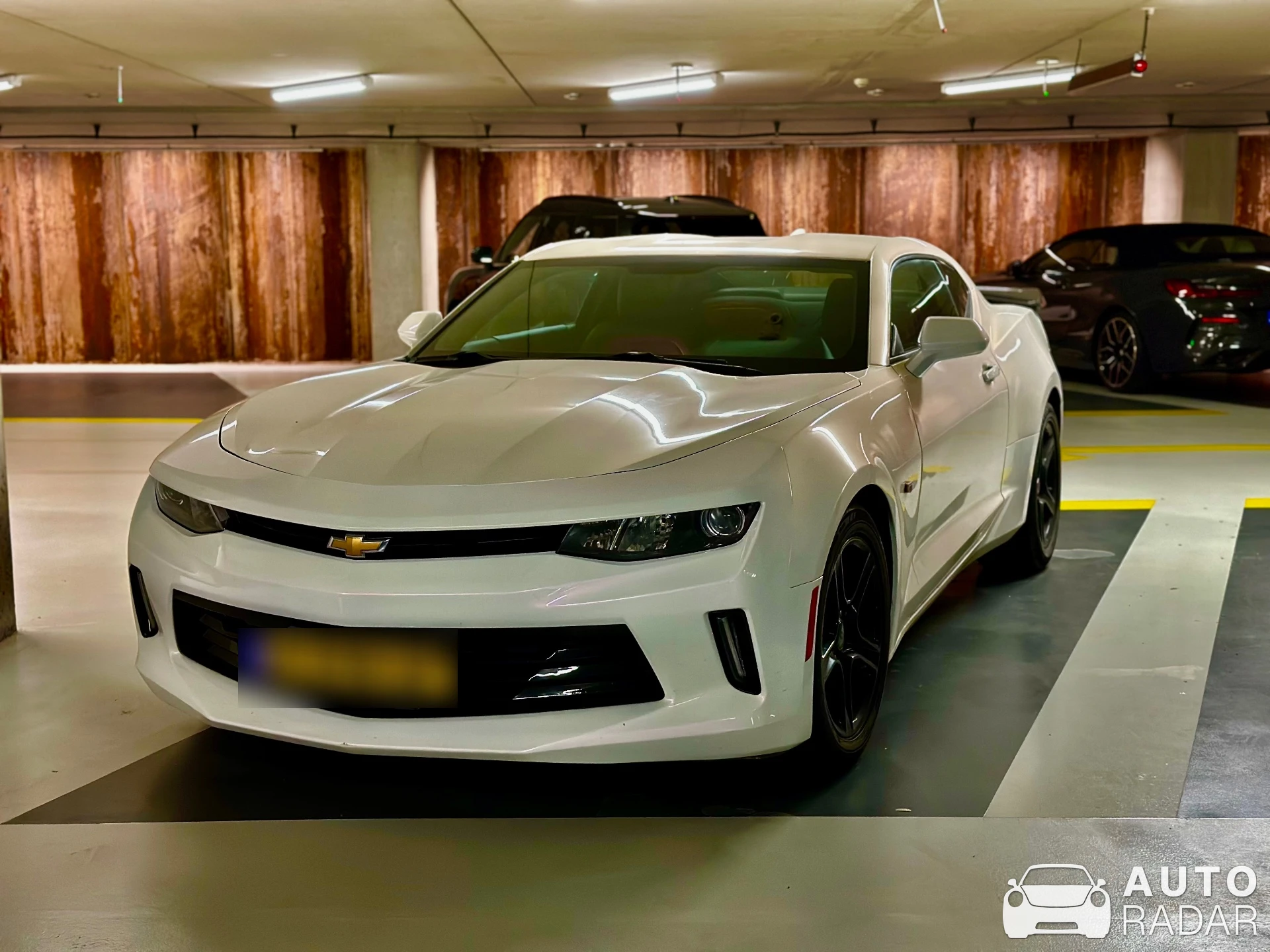 Chevrolet Camaro SS 2016 spotted in Rotterdam, Netherlands