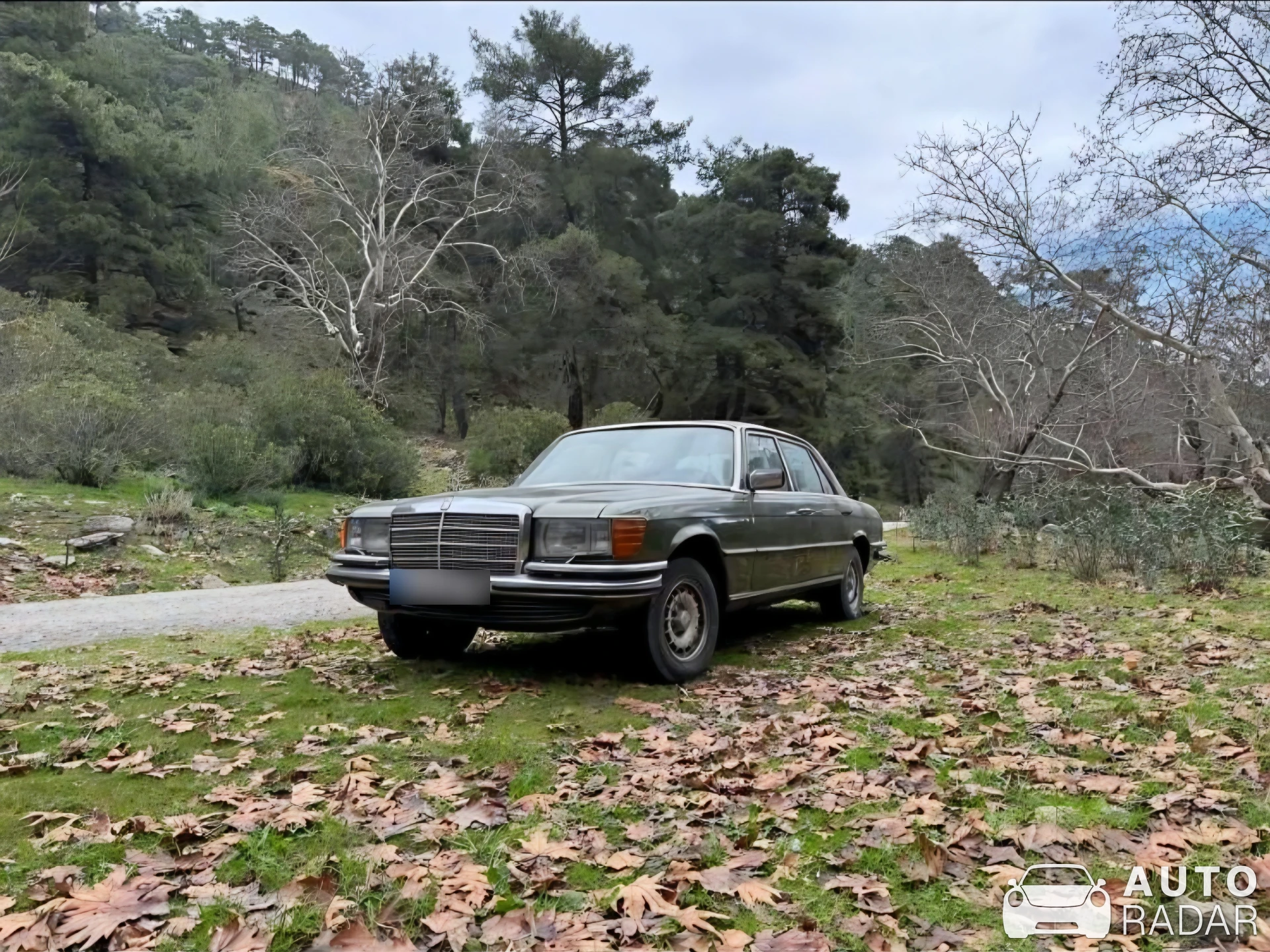 Mercedes-Benz 450 SEL spotted in Karacasu, Türkiye