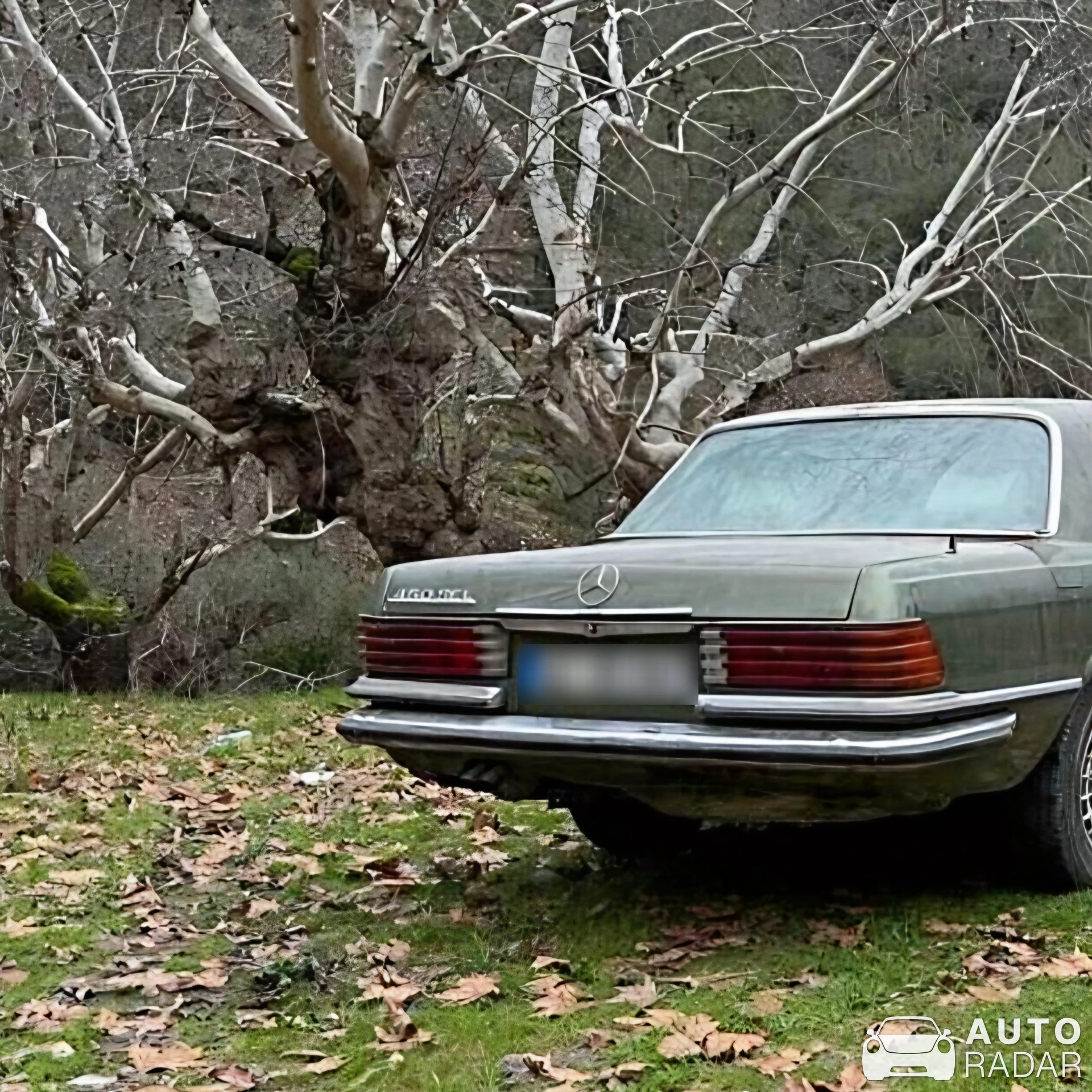 Mercedes-Benz 450 SEL spotted