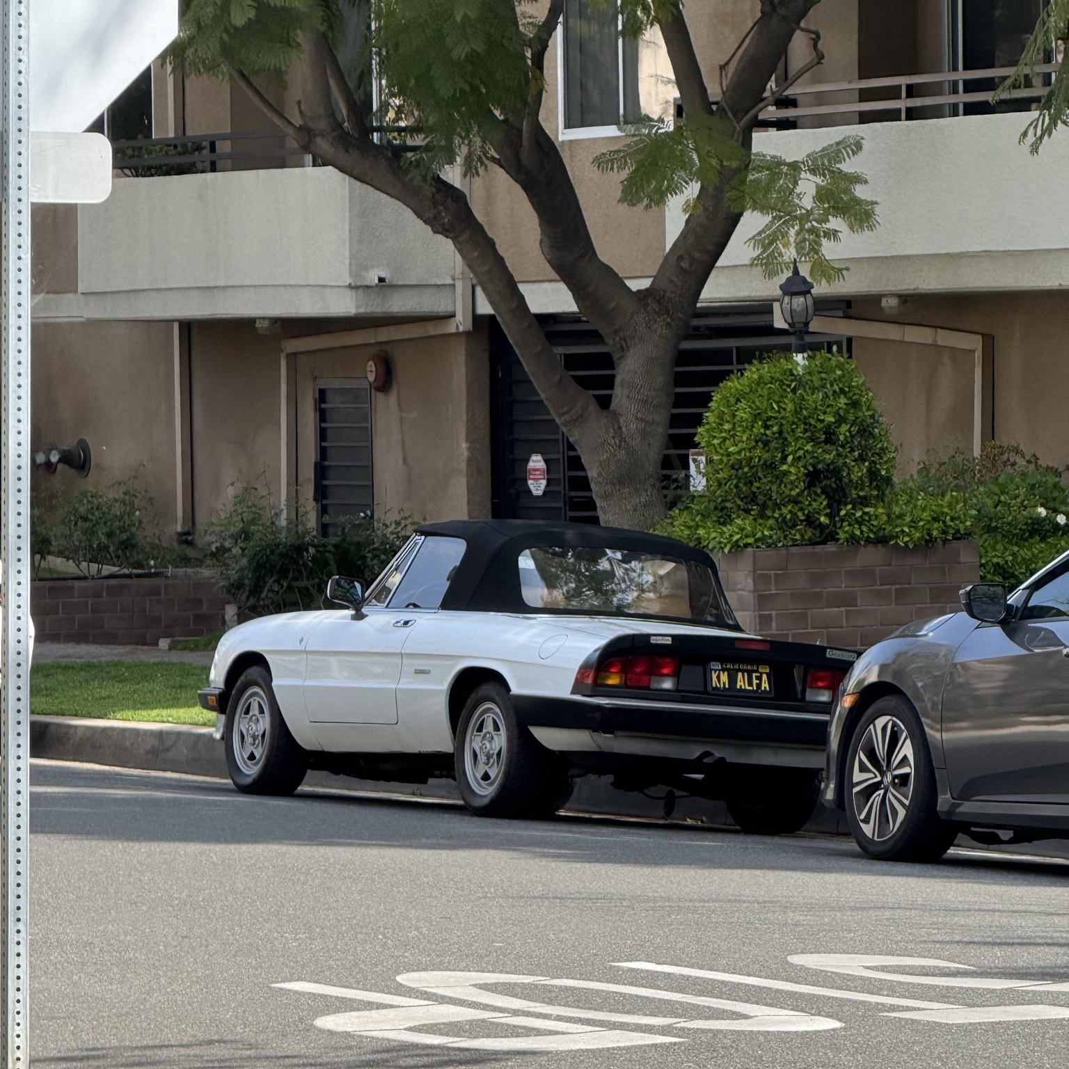 Alfa Romeo Spider Quadrifoglio