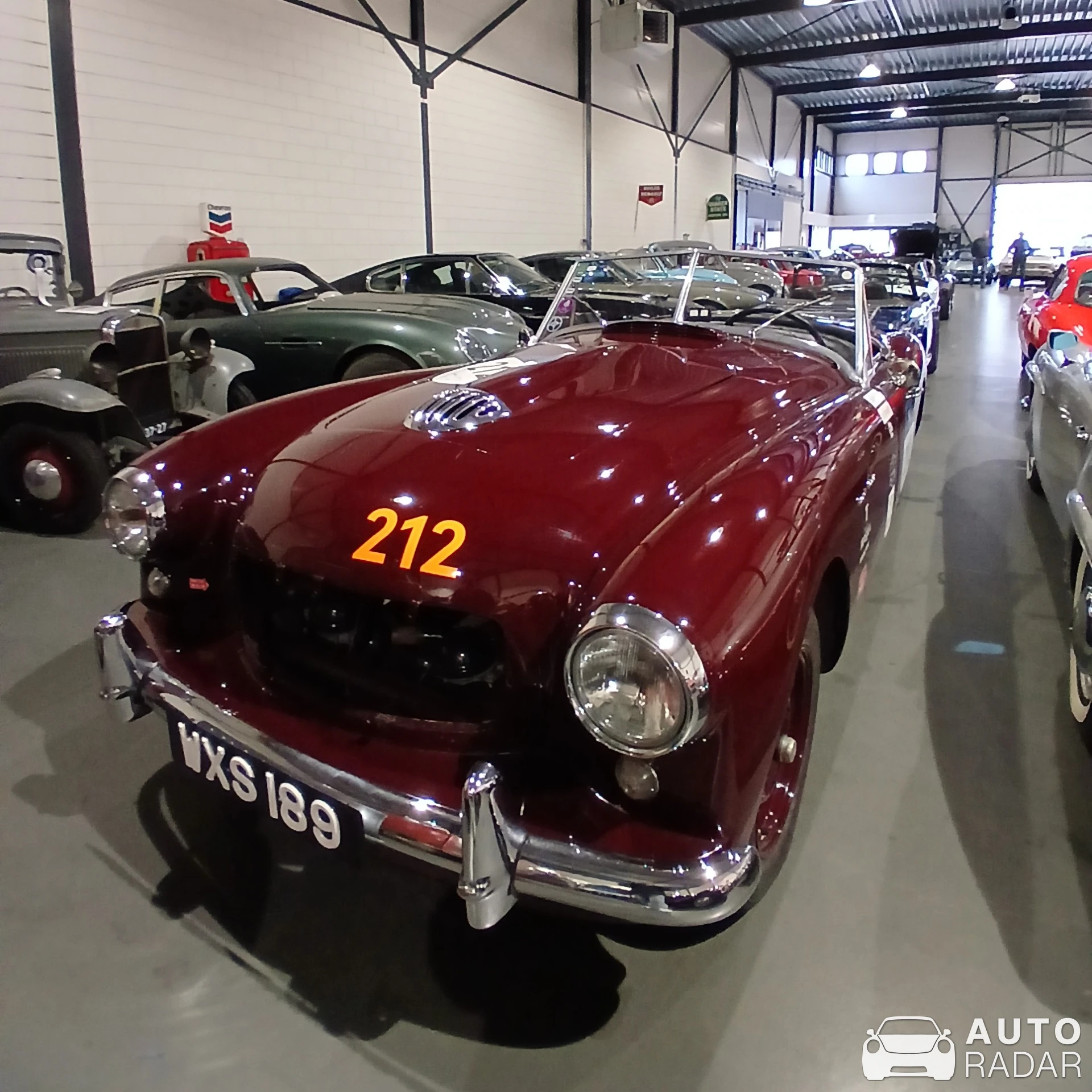 Nash Healey spotted in Hengelo