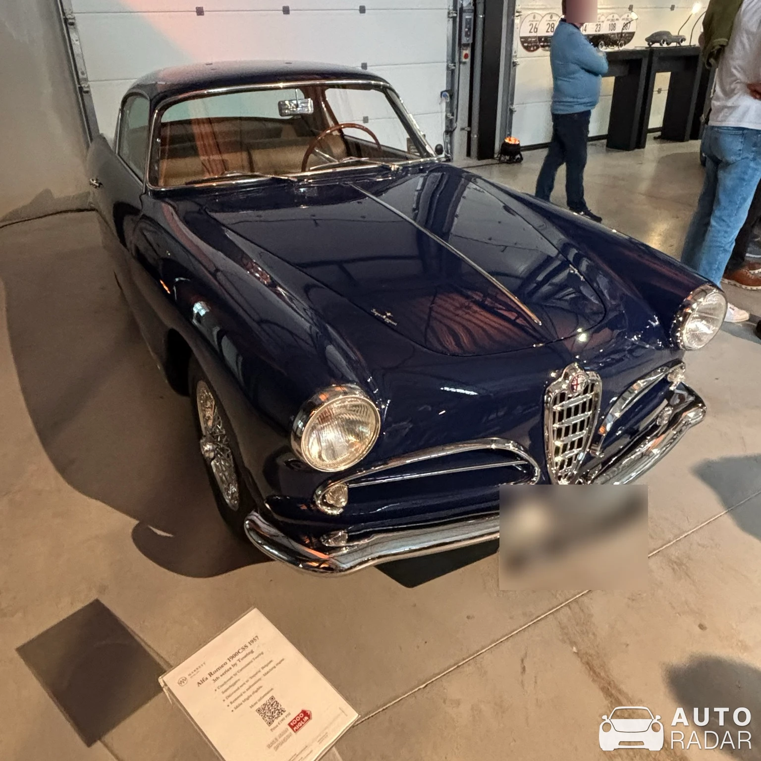 Alfa Romeo 1900 spotted in Ternat