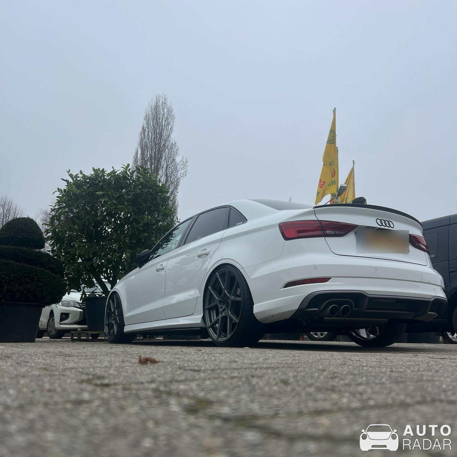 Audi S3 8V spotted in Haselünne, Deutschland