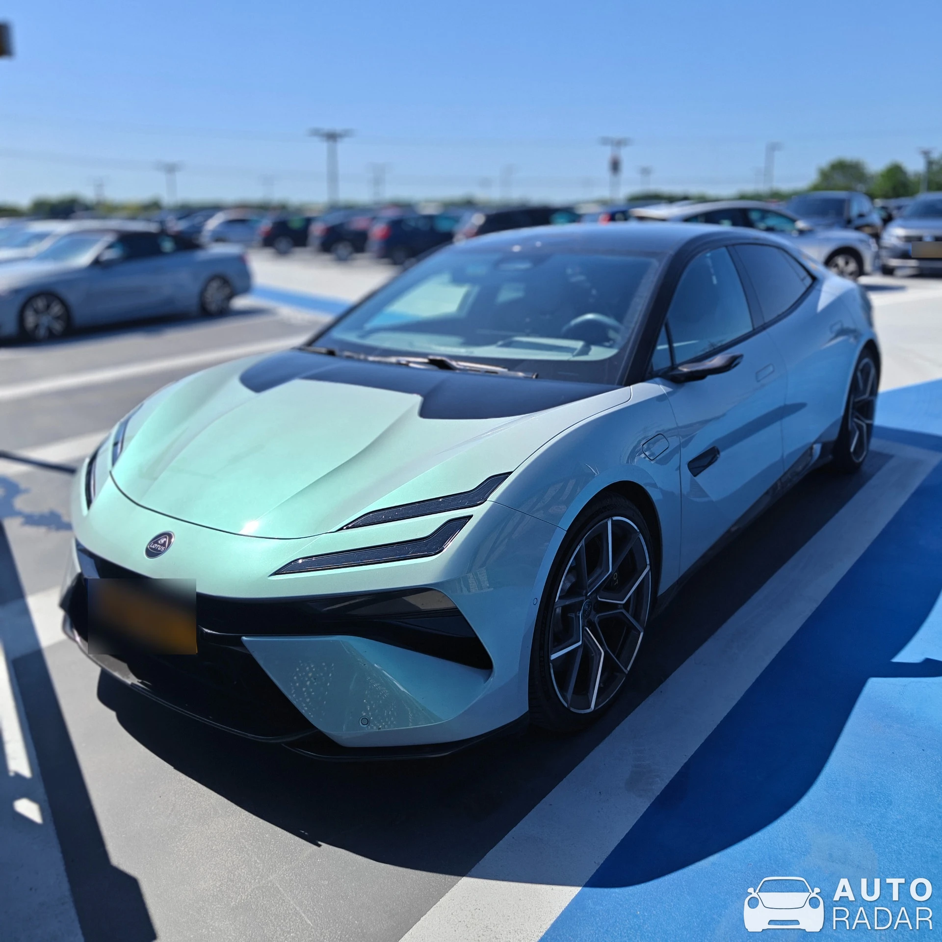 Lotus Emeya spotted in Rucphen