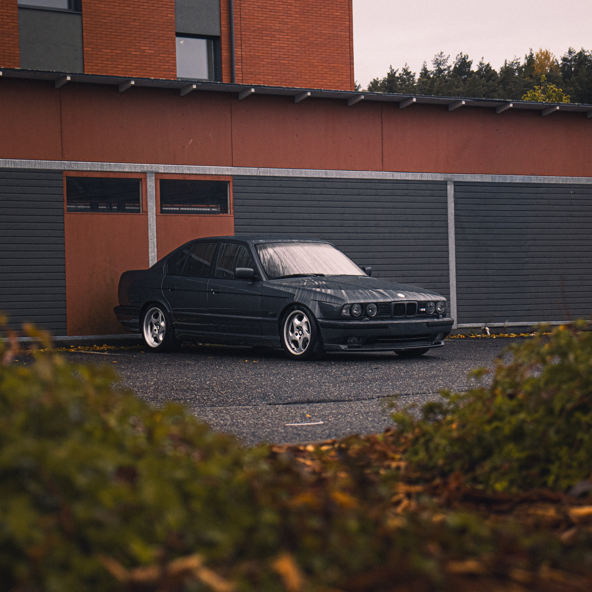 BMW M5 E34