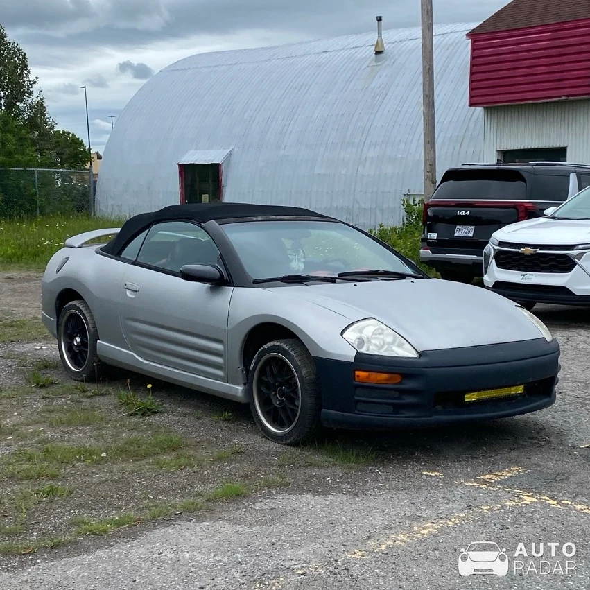 spotted in Alma