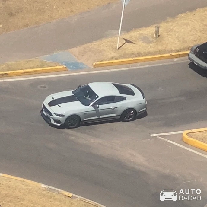 Ford Mustang Mach 1 S550 spotted in Buenos Aires, Argentina