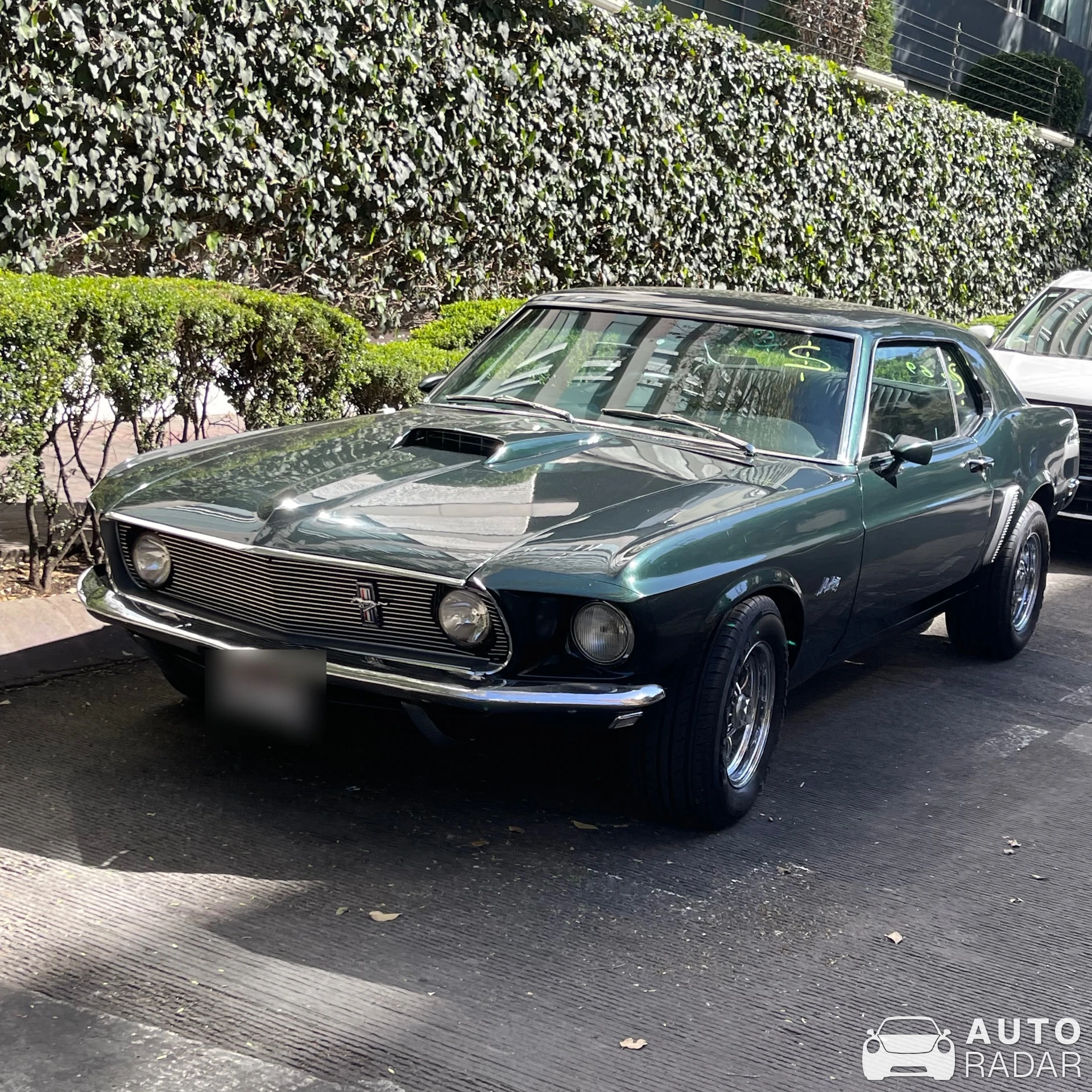 Ford Mustang GT spotted in Ciudad de México, México