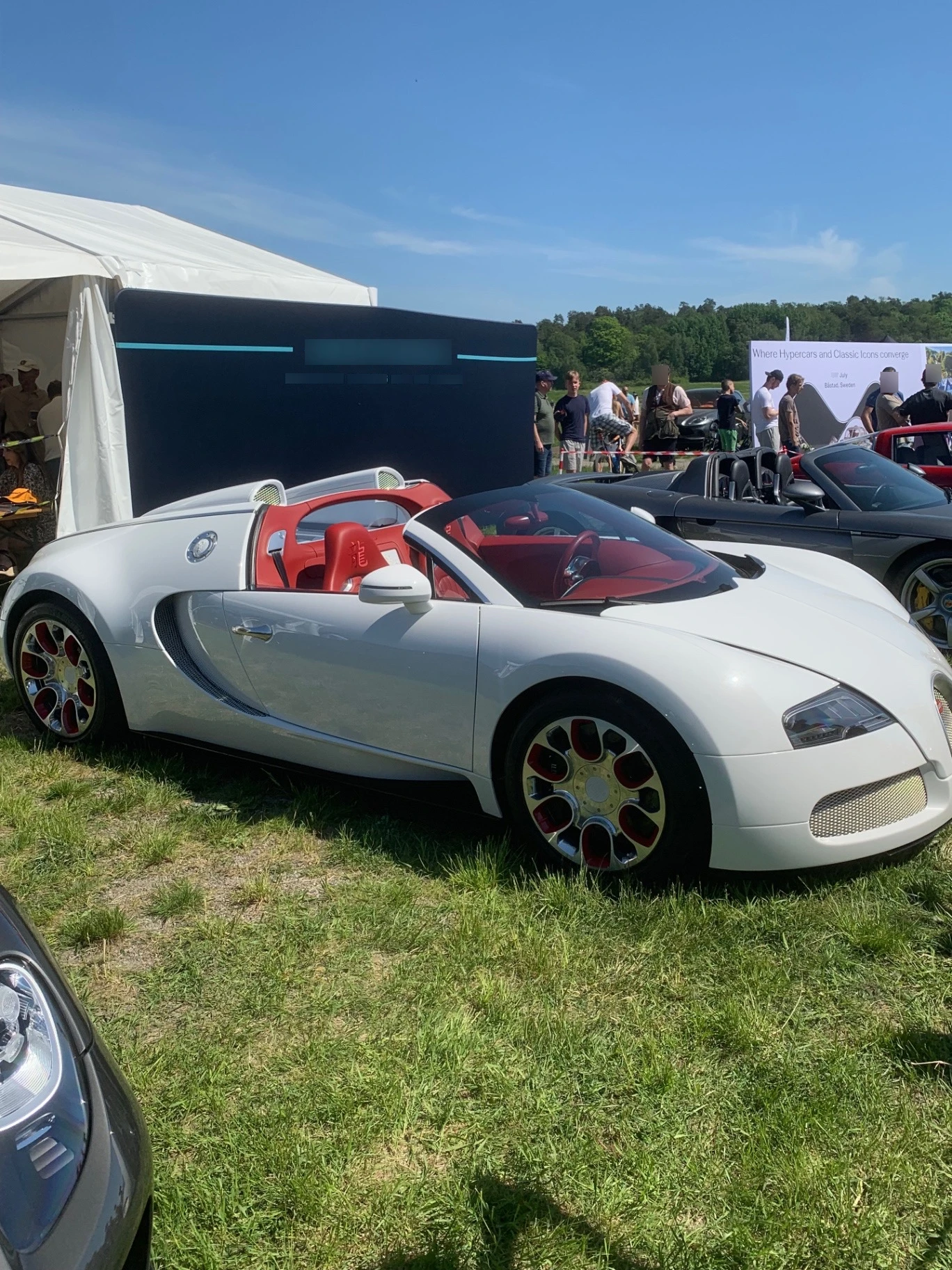 Bugatti Veyron 16.4 Grand Sport Wei Long 2012 spotted in Stockholm