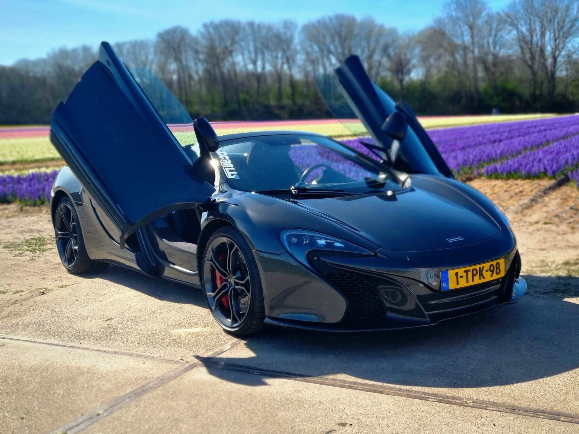 McLaren 650S Spider