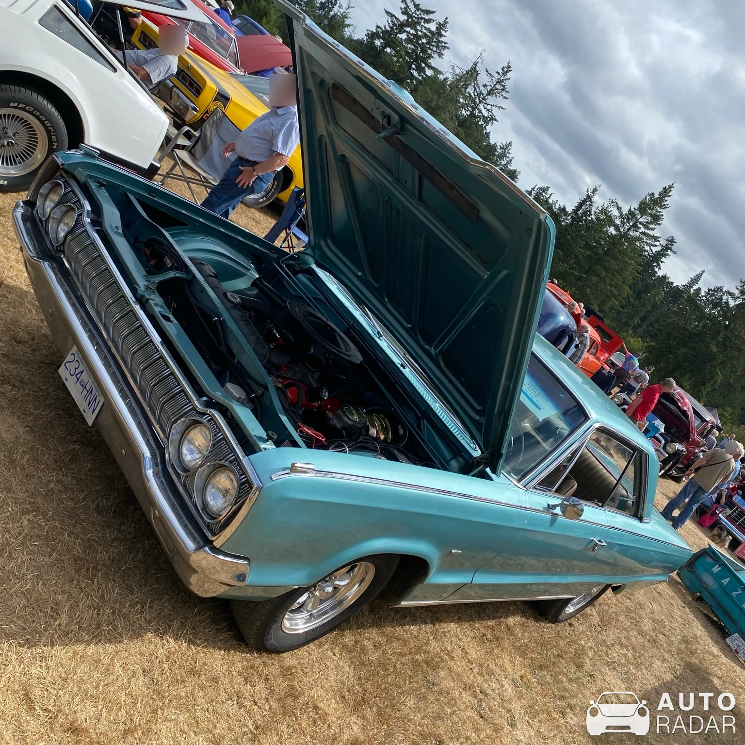 Dodge Polara spotted in Errington
