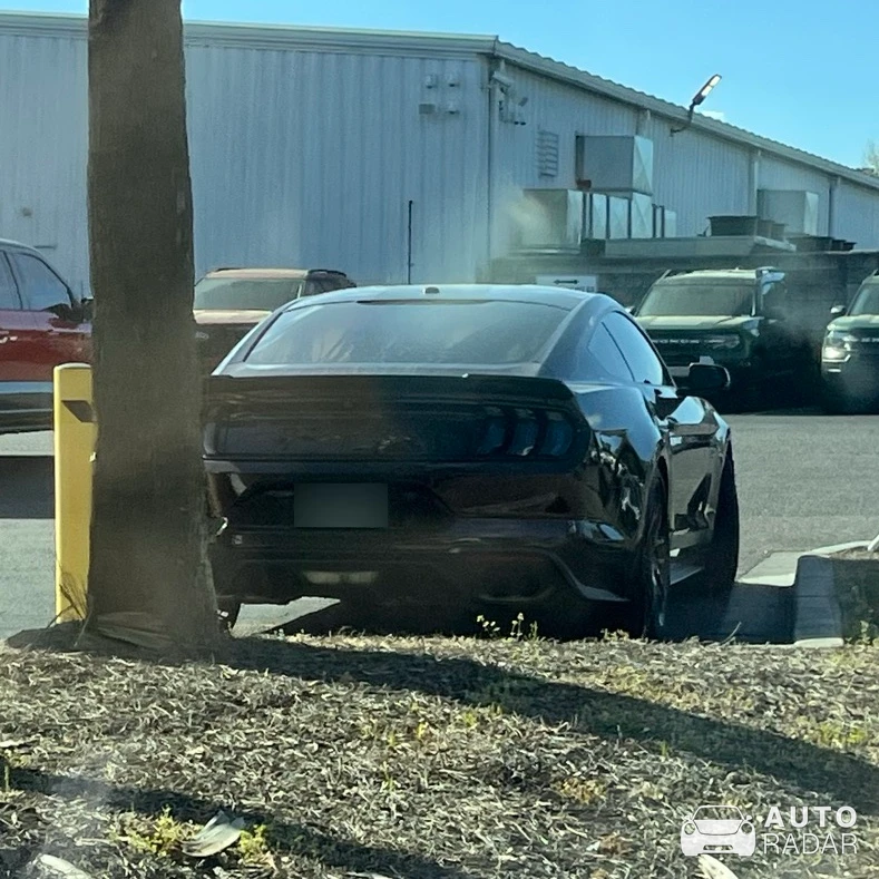 Ford Mustang GT S550 Roush Stage 3 spotted in Ladson