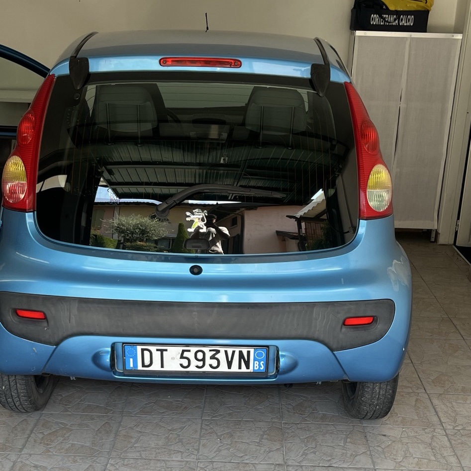 Peugeot 207 LW