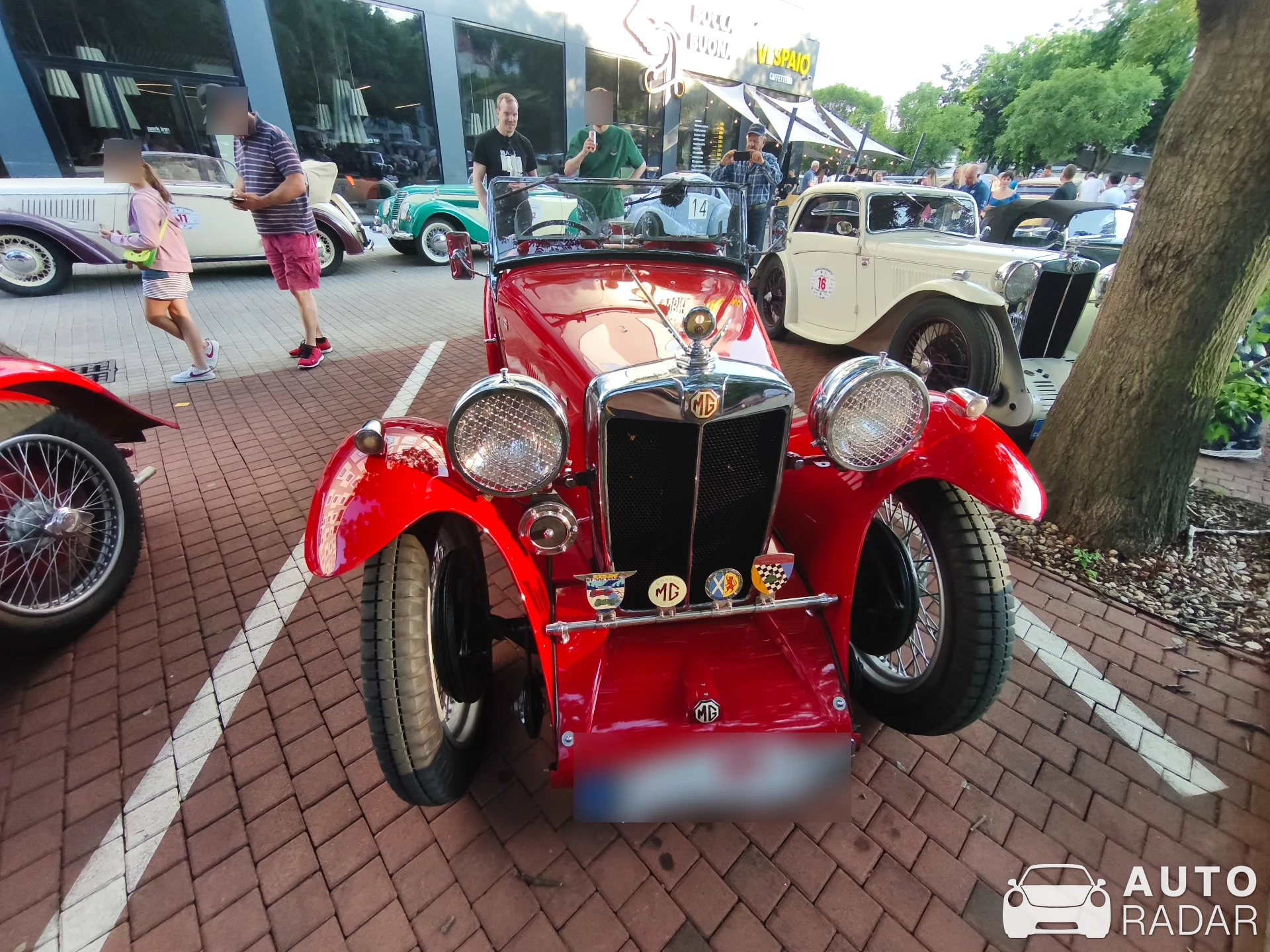 MG K spotted