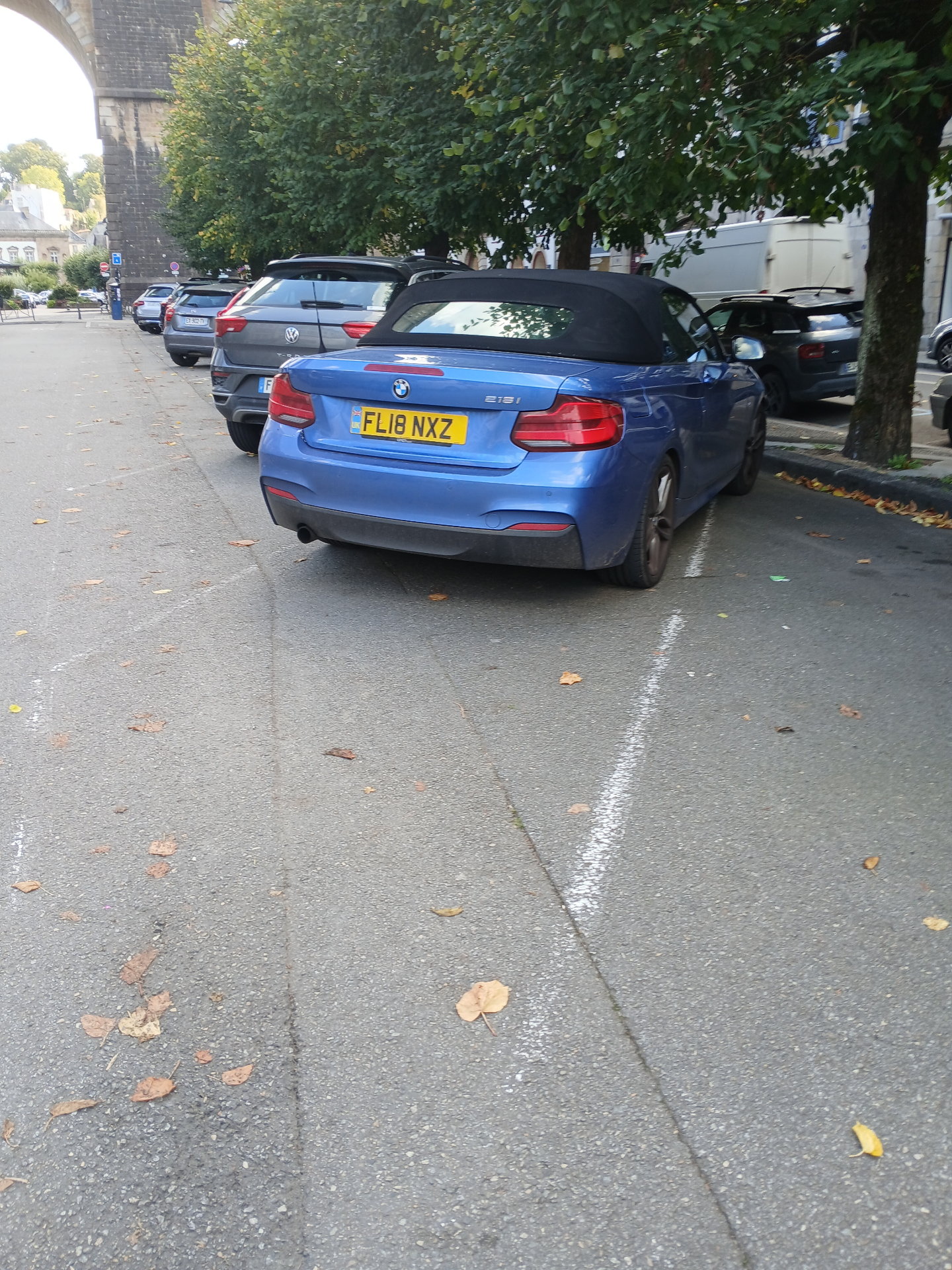 BMW 2 Series Convertible F23