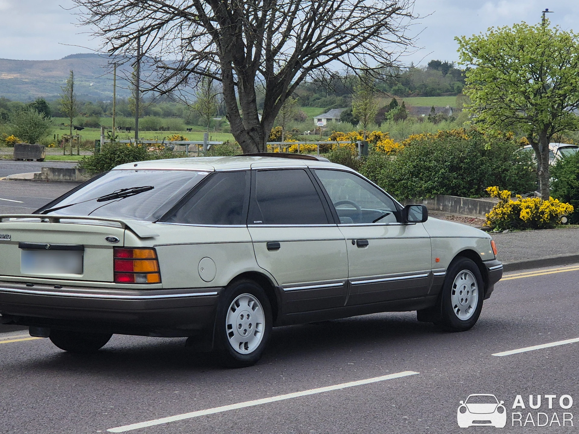 Ford Scorpio spotted in Killorglin